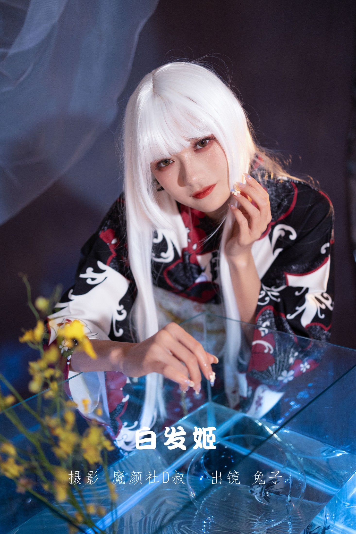 图片[1] - 兔子Zzz不吃胡萝卜 - 《白发姬》[43P] - 机器猫次元 - 机器猫次元
