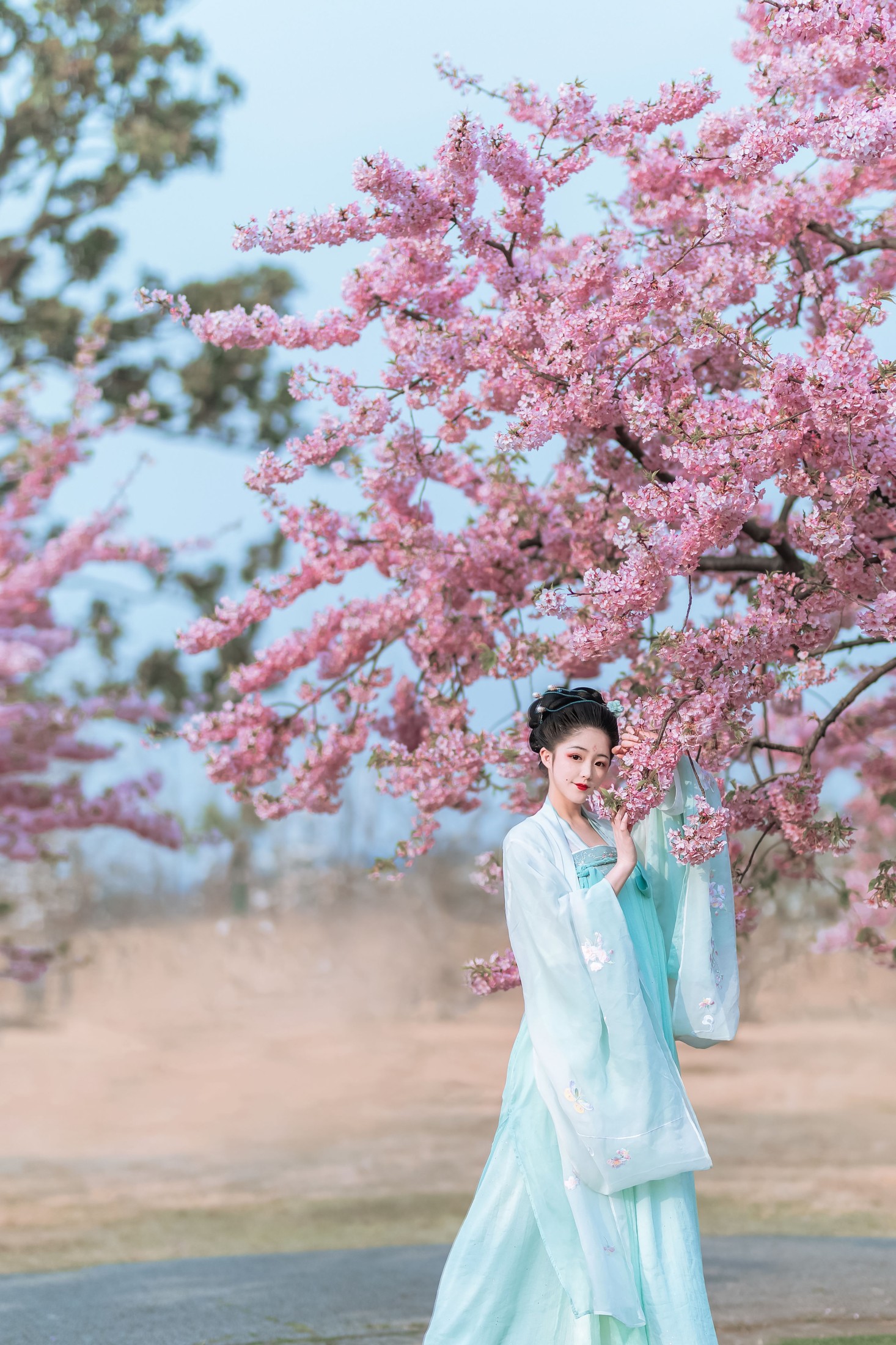 图片[7] - 蟋蟀呀 - 《樱花美人》[32P] - 机器猫次元 - 机器猫次元