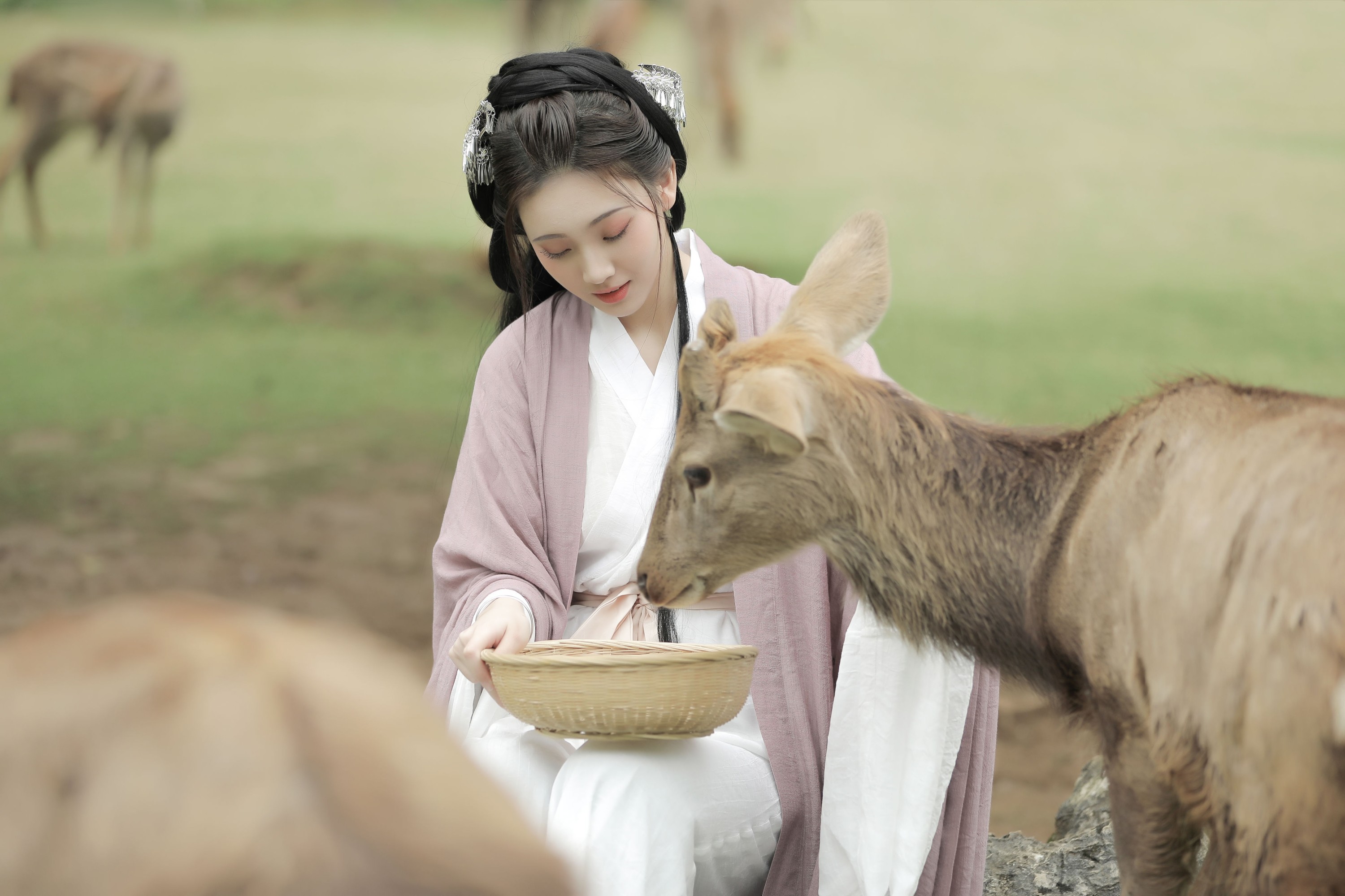 图片[5] - 芝芝琪 - 《春风十里》[22P] - 机器猫次元 - 机器猫次元