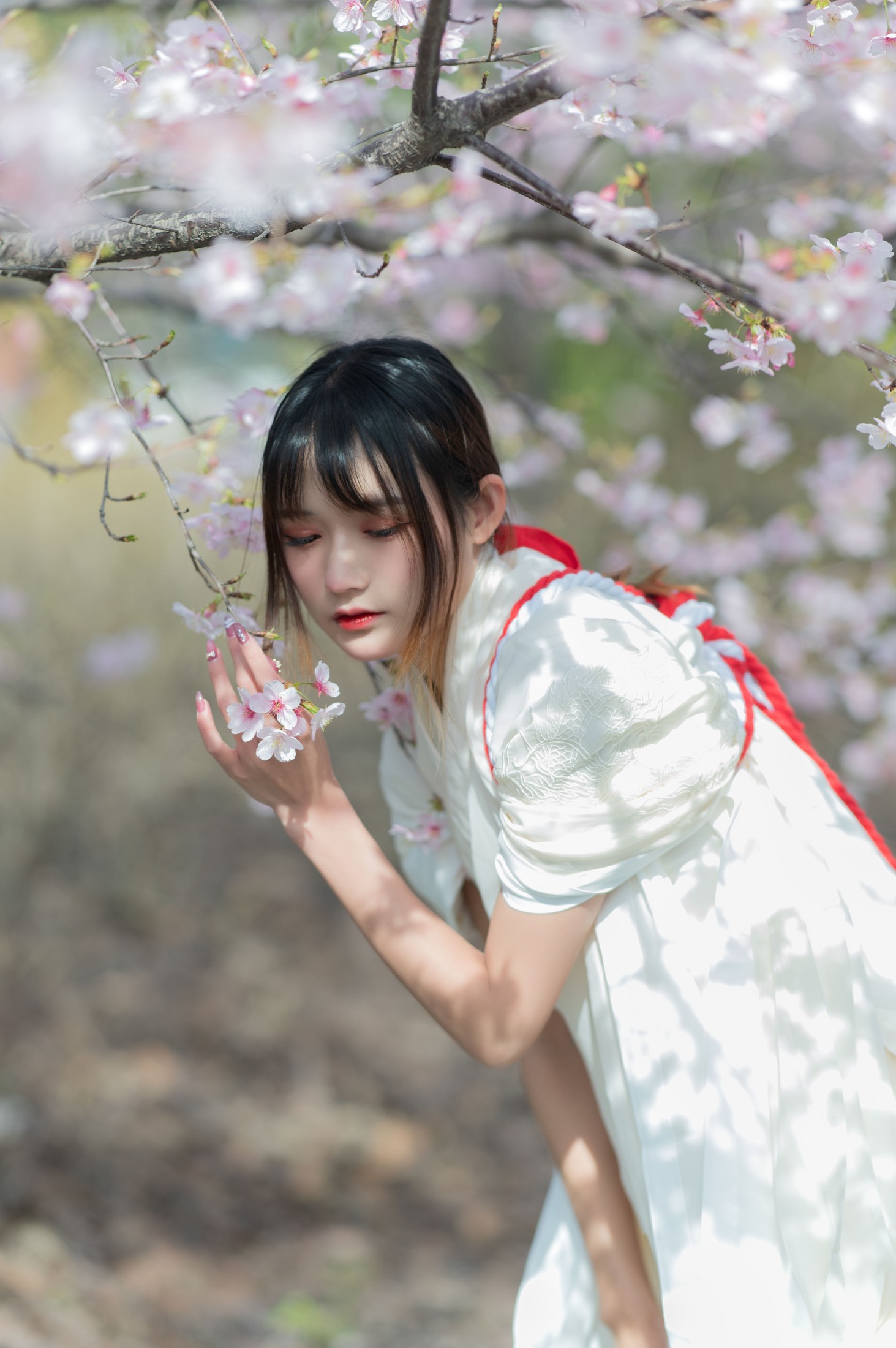 图片[3] - 兔子Zzz不吃胡萝卜 - 《樱语》[28P] - 机器猫次元 - 机器猫次元