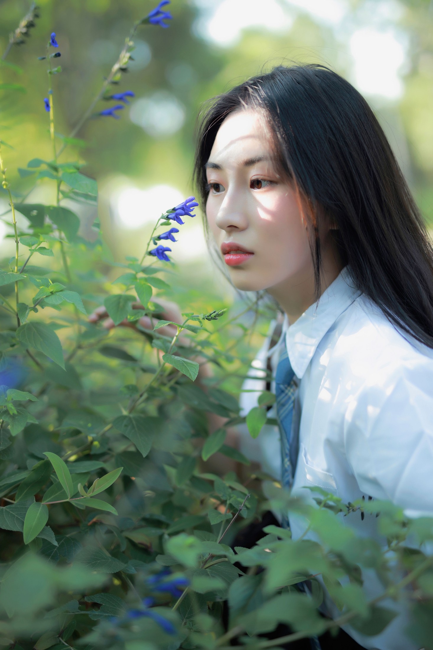 图片[4] - 一帆 - 《风很温柔，花很鲜艳》[22P] - 机器猫次元 - 机器猫次元