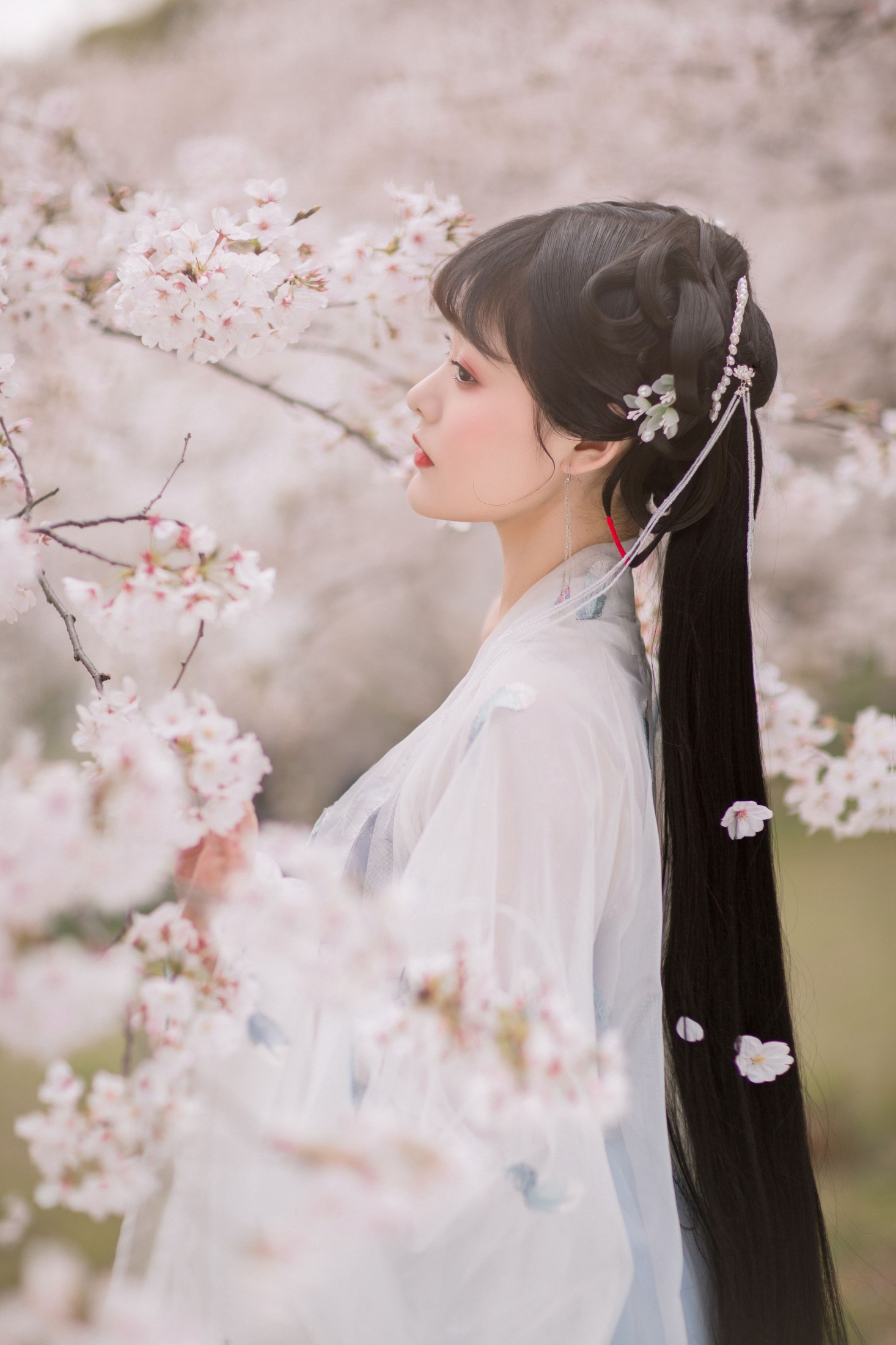 图片[6] - 只喝奶盖 - 《樱》[21P] - 机器猫次元 - 机器猫次元