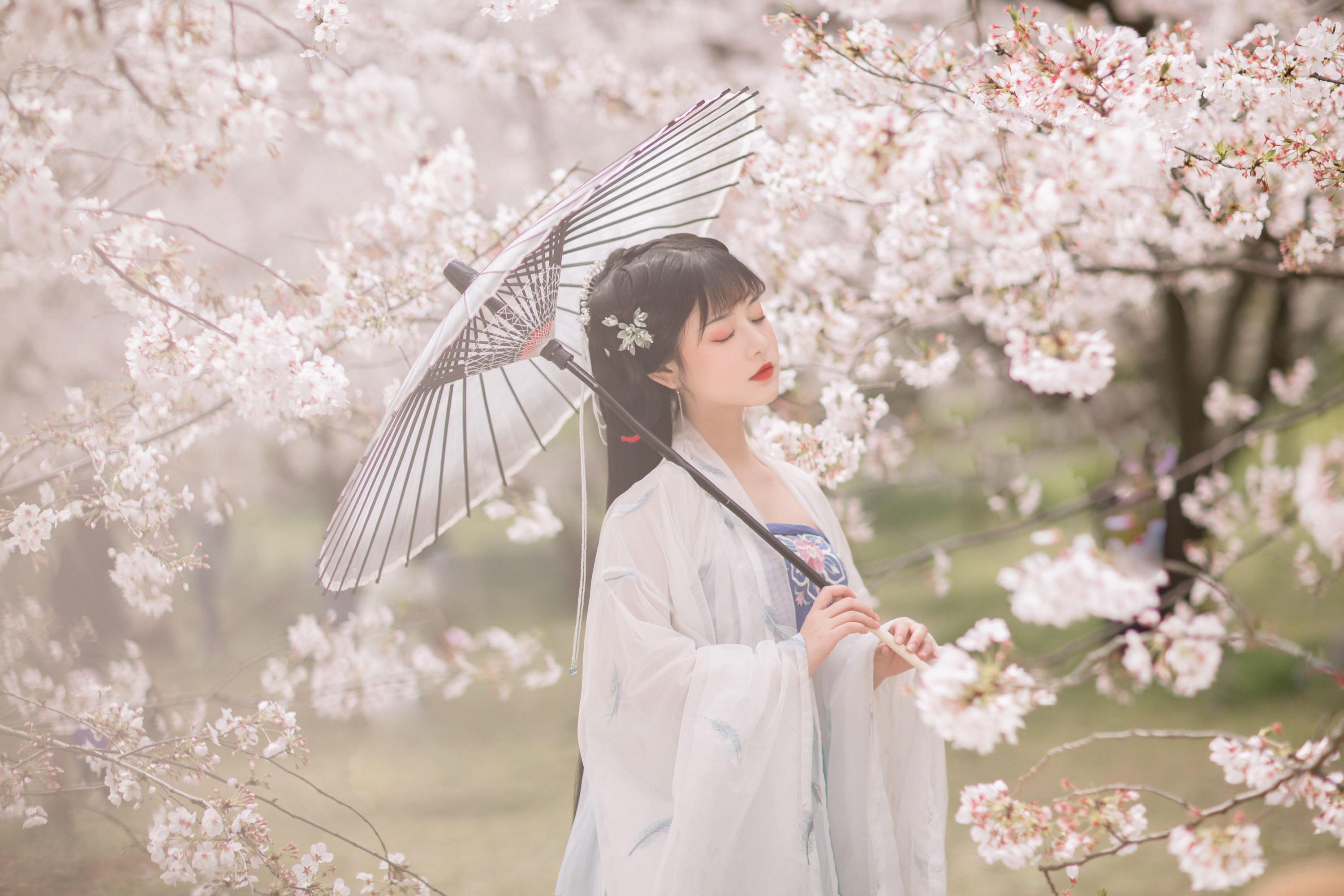 图片[8] - 只喝奶盖 - 《樱》[21P] - 机器猫次元 - 机器猫次元