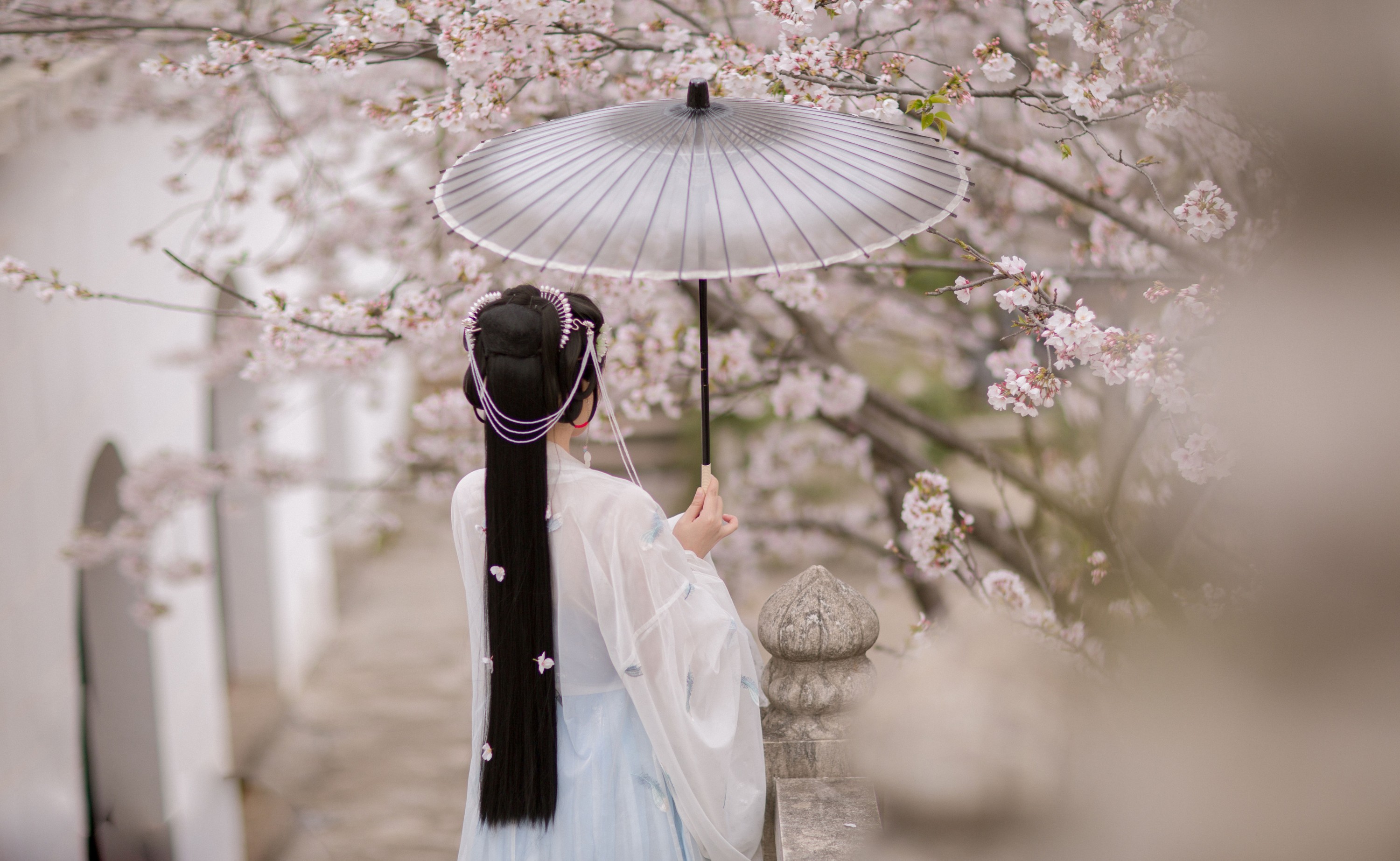 图片[5] - 只喝奶盖 - 《樱》[21P] - 机器猫次元 - 机器猫次元
