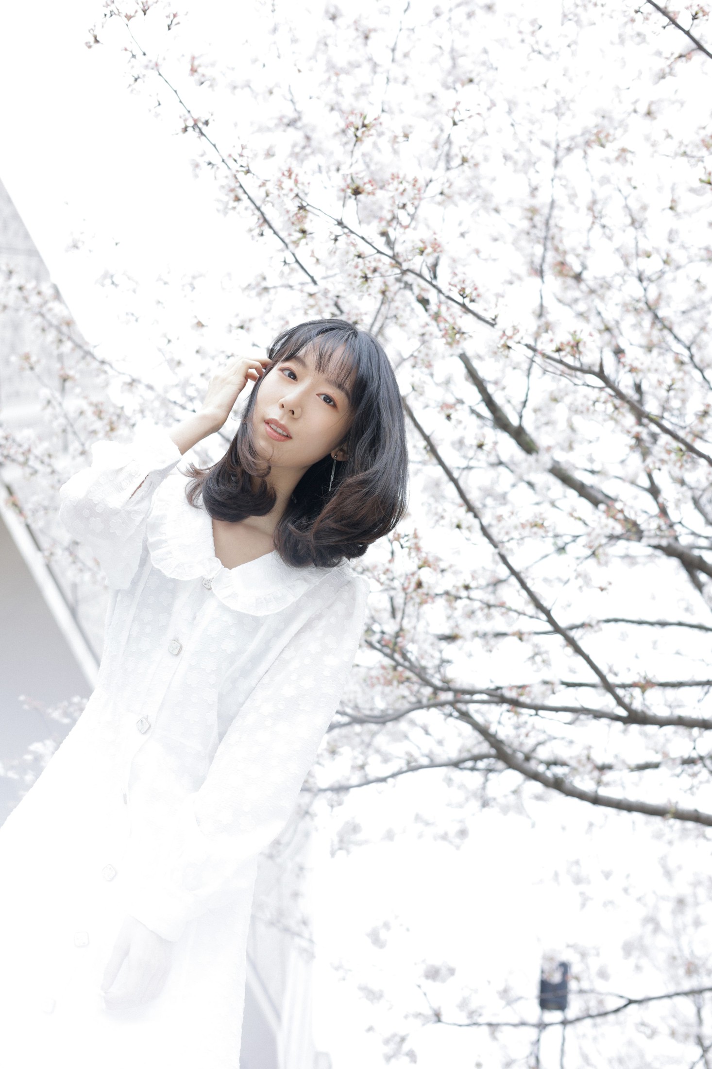 图片[3] - 孟商一 - 《白色花语》[26P] - 机器猫次元 - 机器猫次元