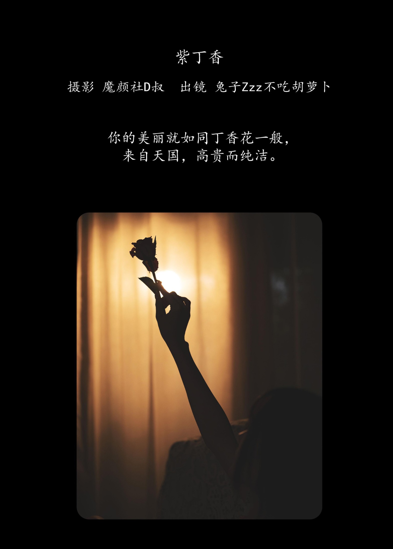图片[2] - 兔子Zzz不吃胡萝卜 - 《紫丁香》[41P] - 机器猫次元 - 机器猫次元