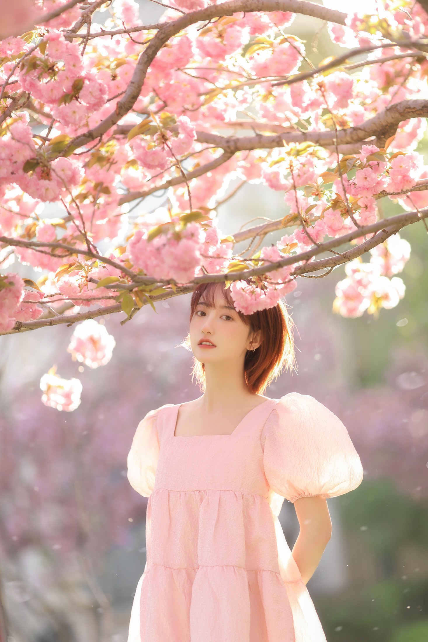 图片[3] - 程凡 - 《樱落》[21P] - 机器猫次元 - 机器猫次元