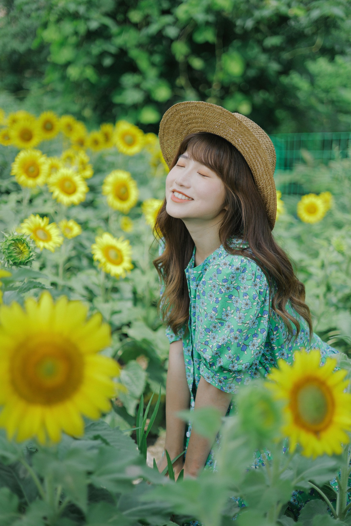 图片[5] - 蓝胖子 - 《向日葵的夏日》[33P] - 机器猫次元 - 机器猫次元