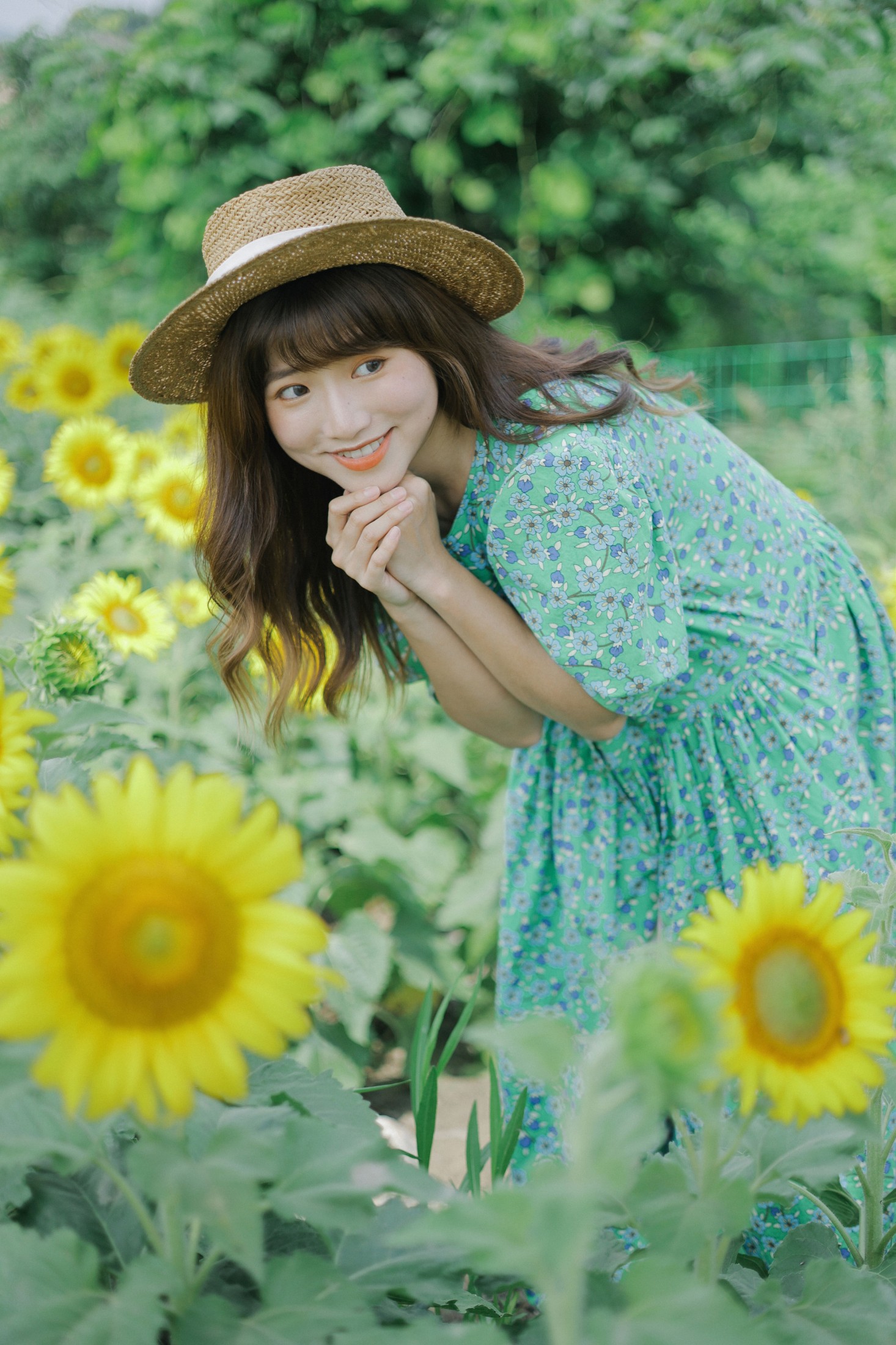 图片[6] - 蓝胖子 - 《向日葵的夏日》[33P] - 机器猫次元 - 机器猫次元