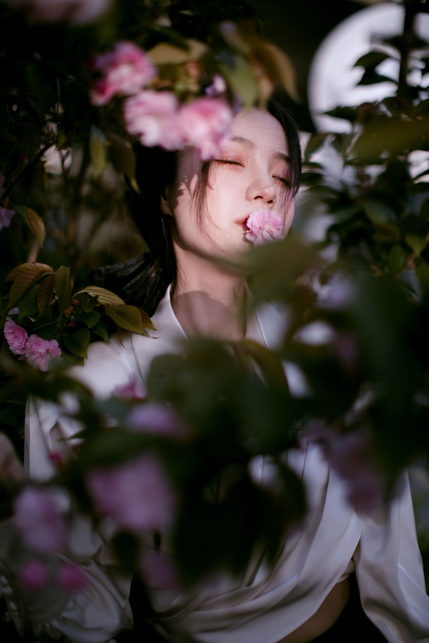 图片[5] - 夏芸是只小考拉 - 《花宴》[22P] - 机器猫次元 - 机器猫次元