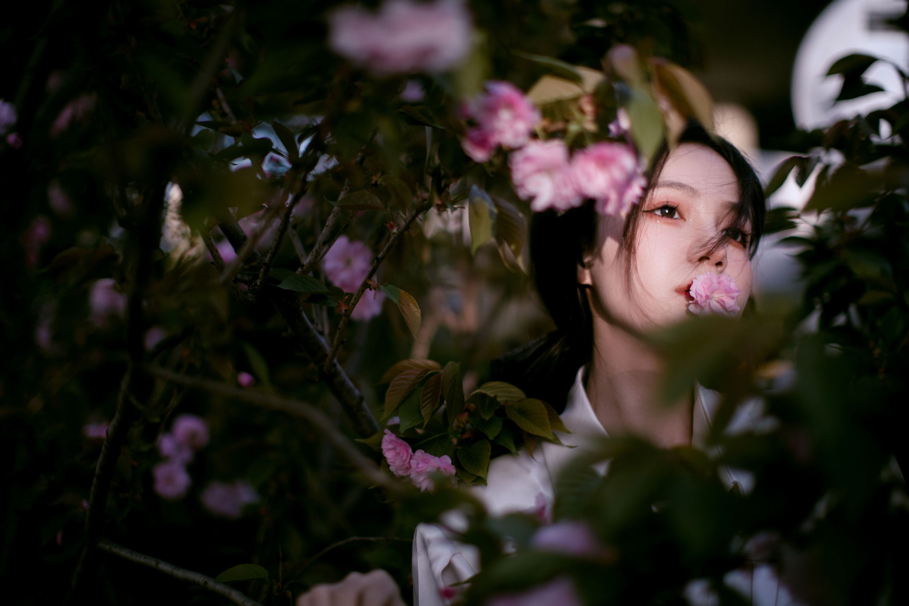 图片[6] - 夏芸是只小考拉 - 《花宴》[22P] - 机器猫次元 - 机器猫次元