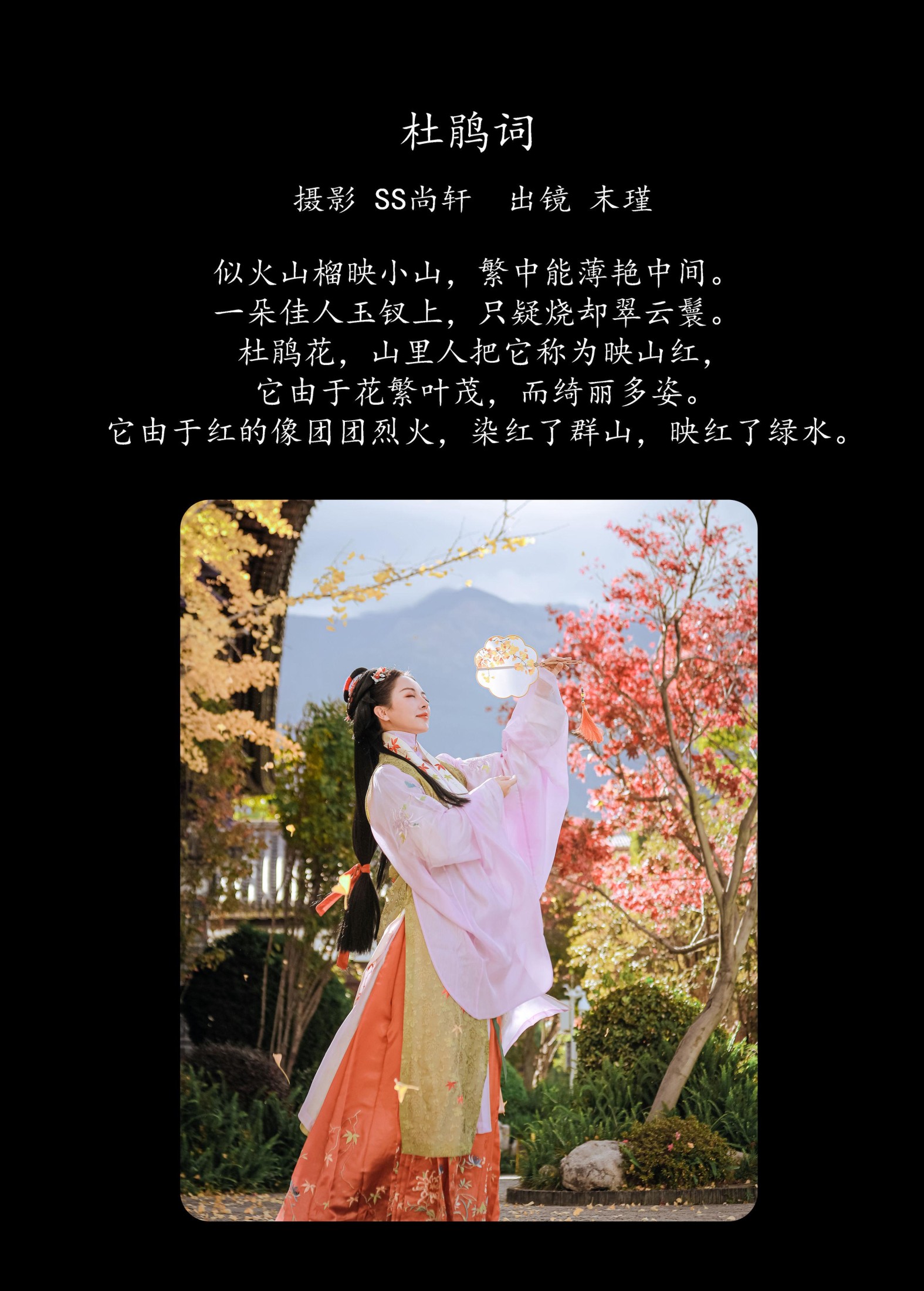图片[2] - 末瑾 - 《杜鹃词》[22P] - 机器猫次元 - 机器猫次元