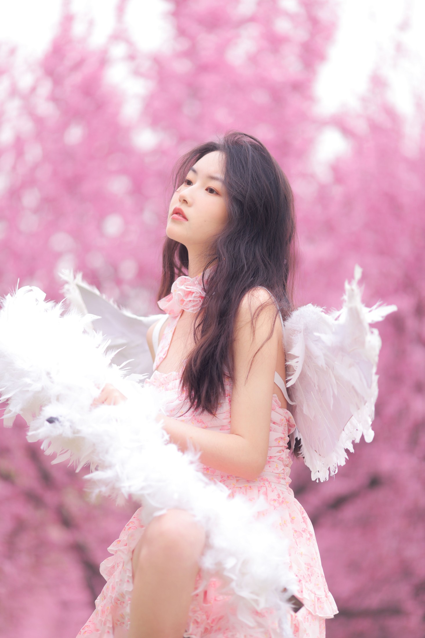 图片[6] - 芮芮 - 《早樱天使》[32P] - 机器猫次元 - 机器猫次元