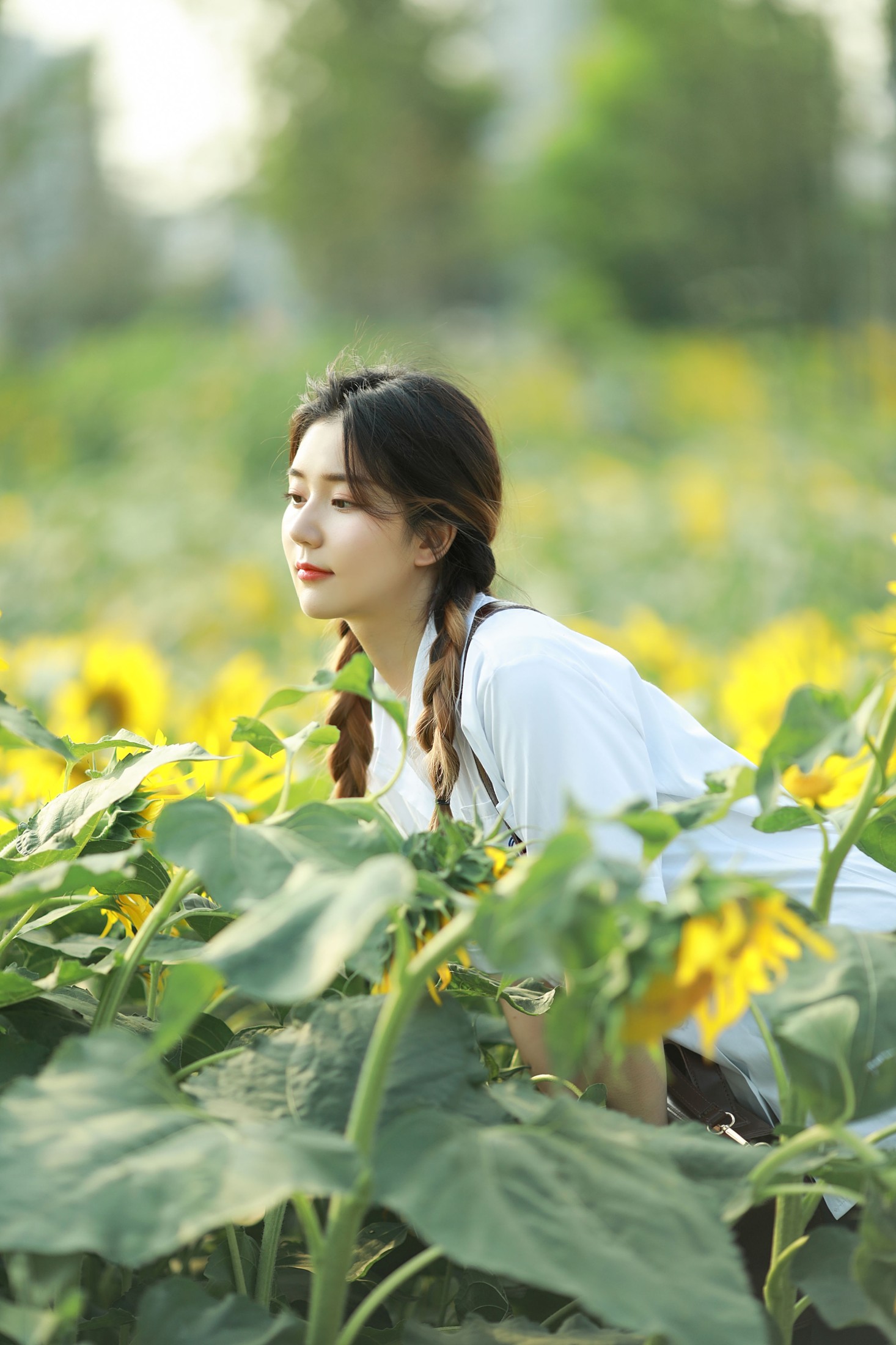 图片[7] - 莎莎 - 《向日葵少女》[21P] - 机器猫次元 - 机器猫次元