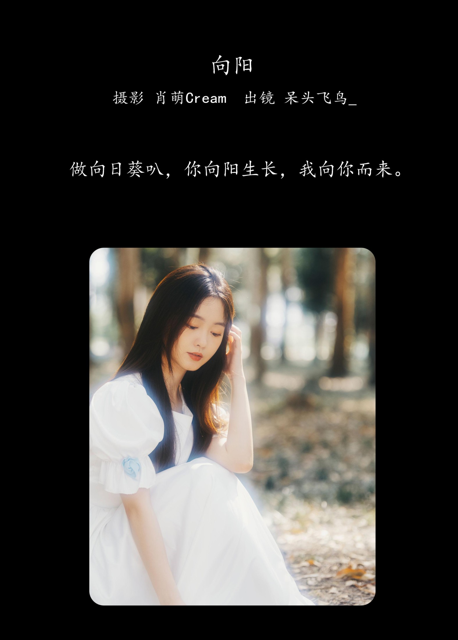 图片[2] - 呆头飞鸟_ - 《向阳》[25P] - 机器猫次元 - 机器猫次元