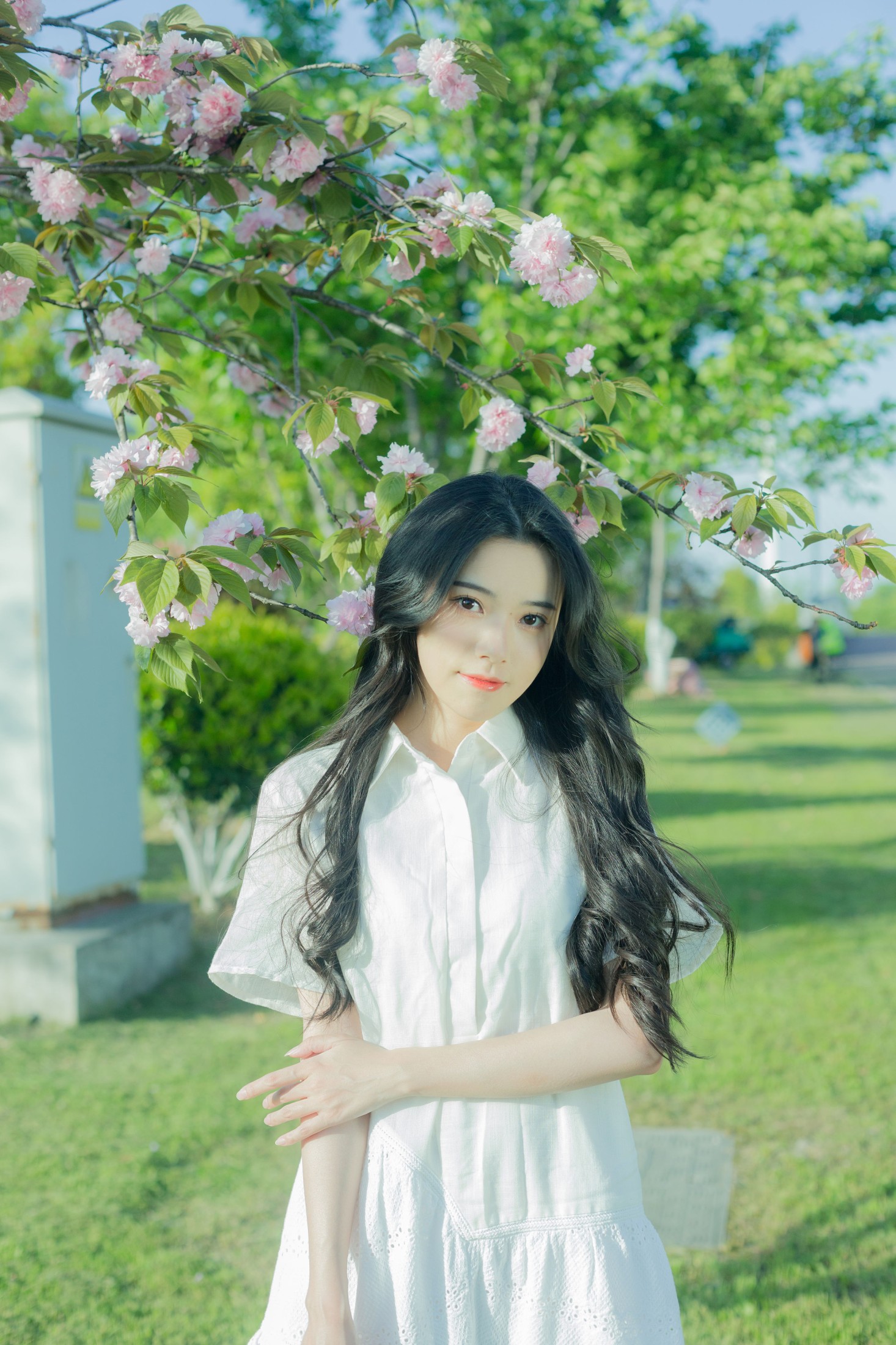 图片[6] - 靜鏡婧 - 《给晚樱的情歌》[28P] - 机器猫次元 - 机器猫次元