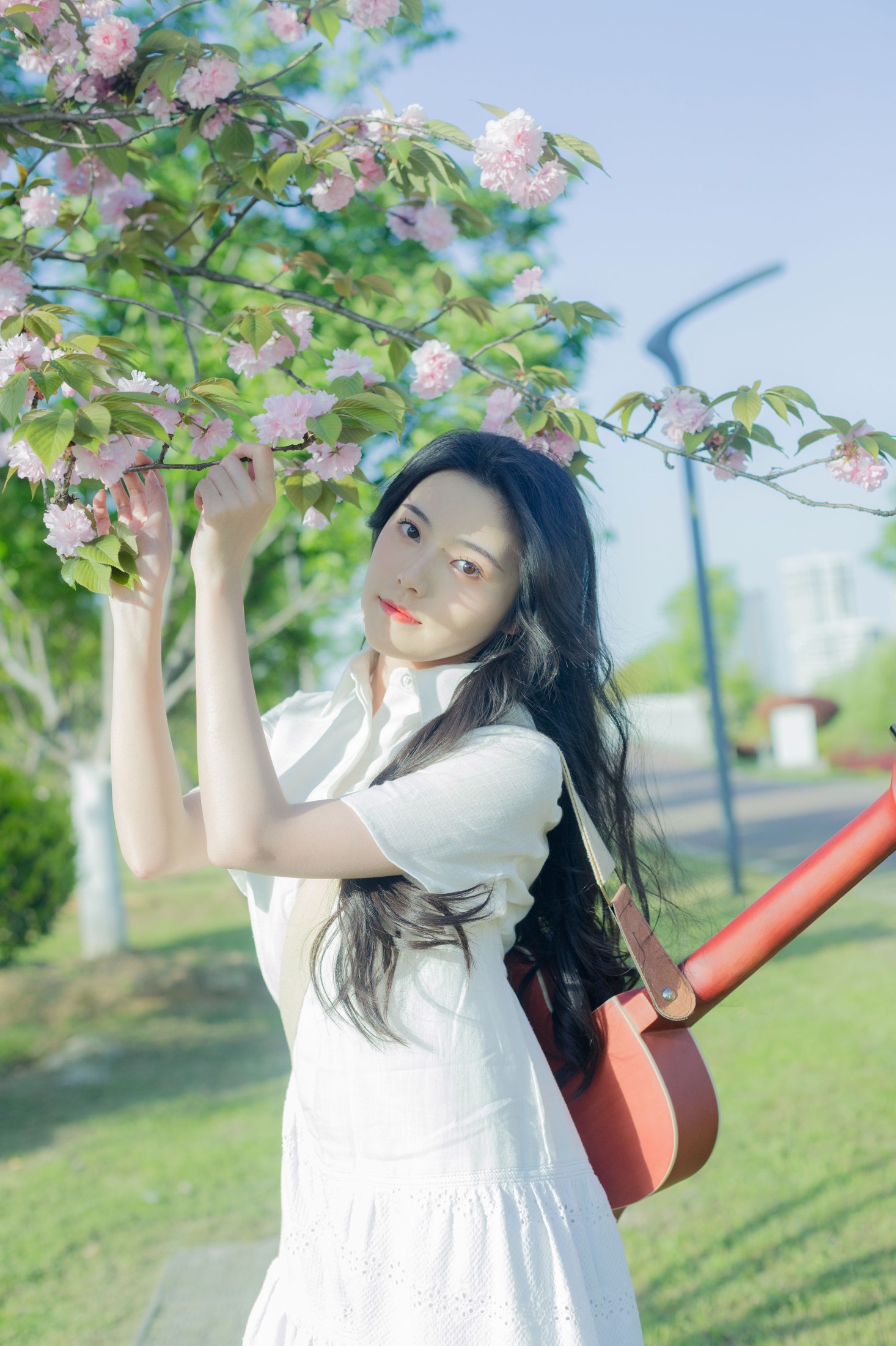图片[3] - 靜鏡婧 - 《给晚樱的情歌》[28P] - 机器猫次元 - 机器猫次元
