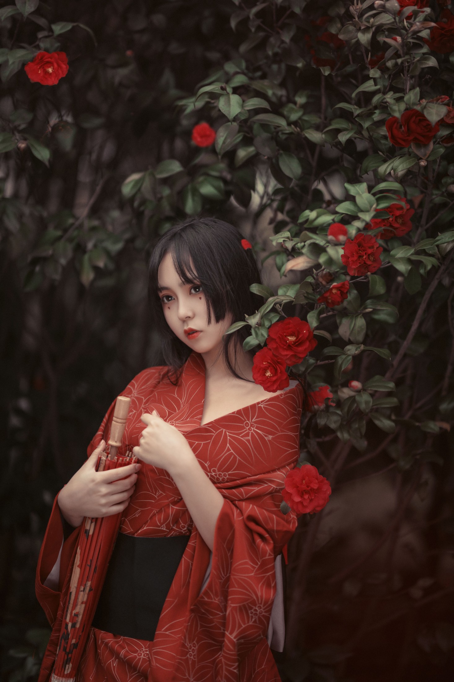 图片[4] - 阡墨红尘 - 《葬花》[23P] - 机器猫次元 - 机器猫次元