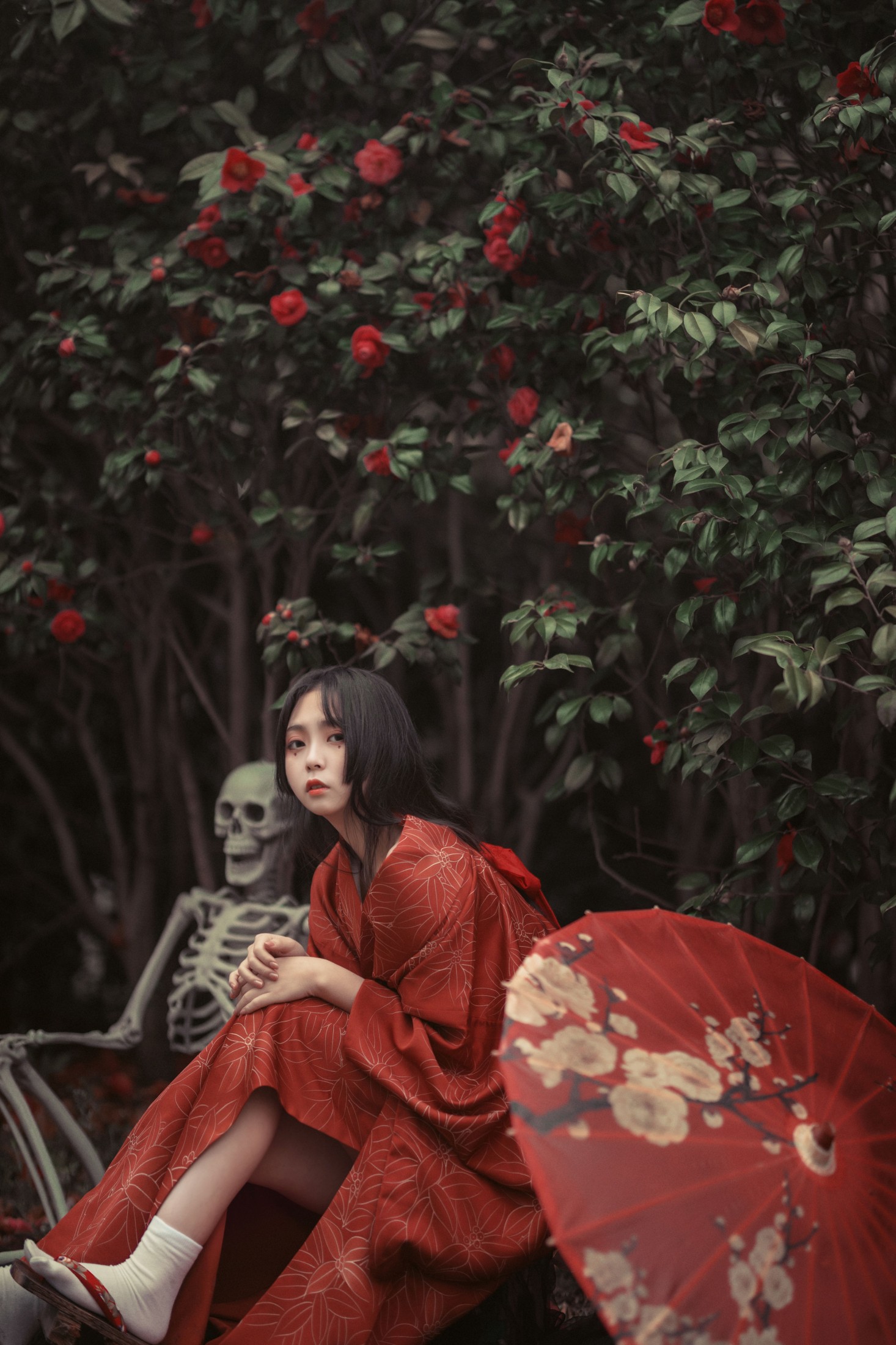 图片[3] - 阡墨红尘 - 《葬花》[23P] - 机器猫次元 - 机器猫次元