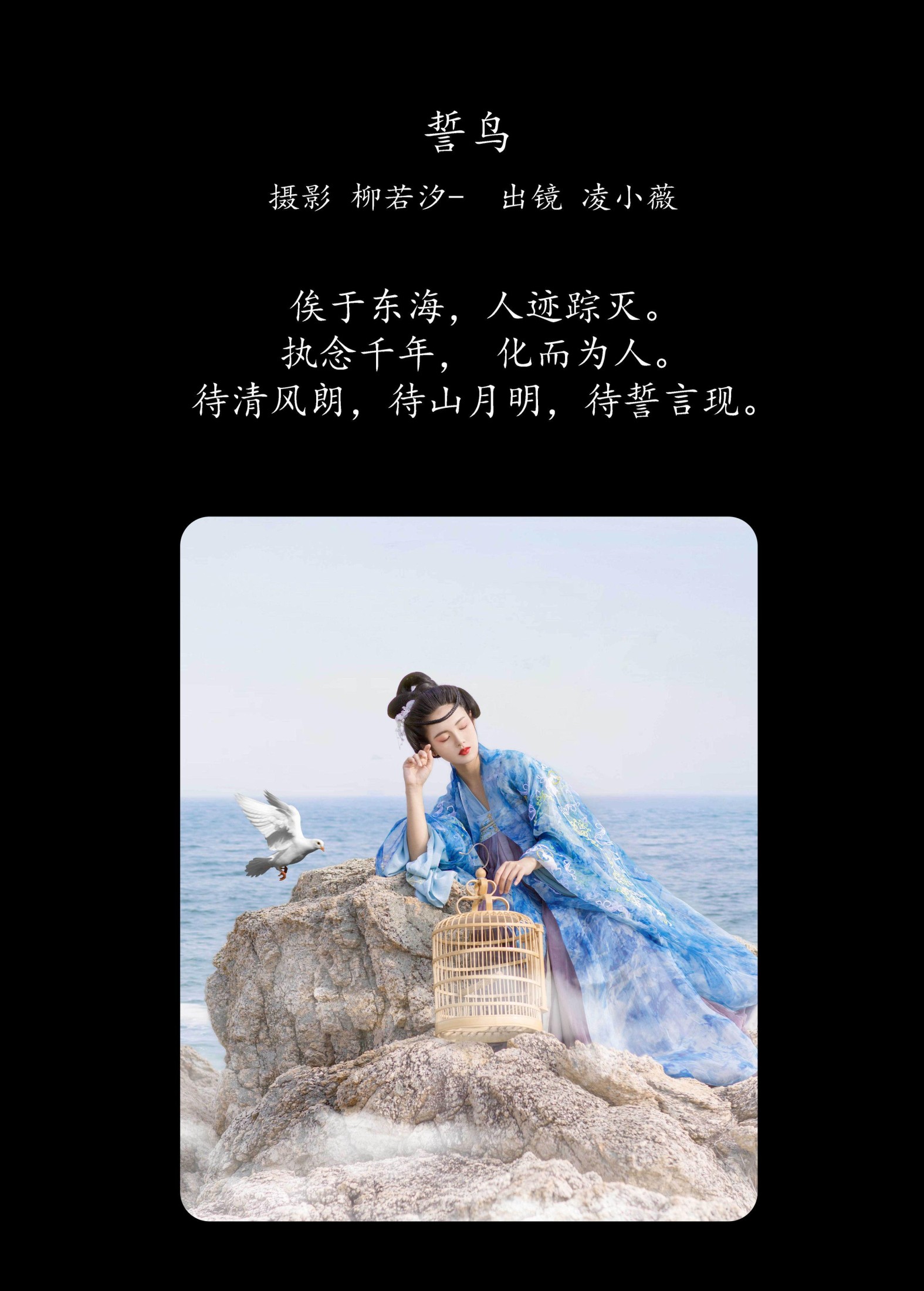 图片[2] - 凌小薇 - 《誓鸟》[24P] - 机器猫次元 - 机器猫次元