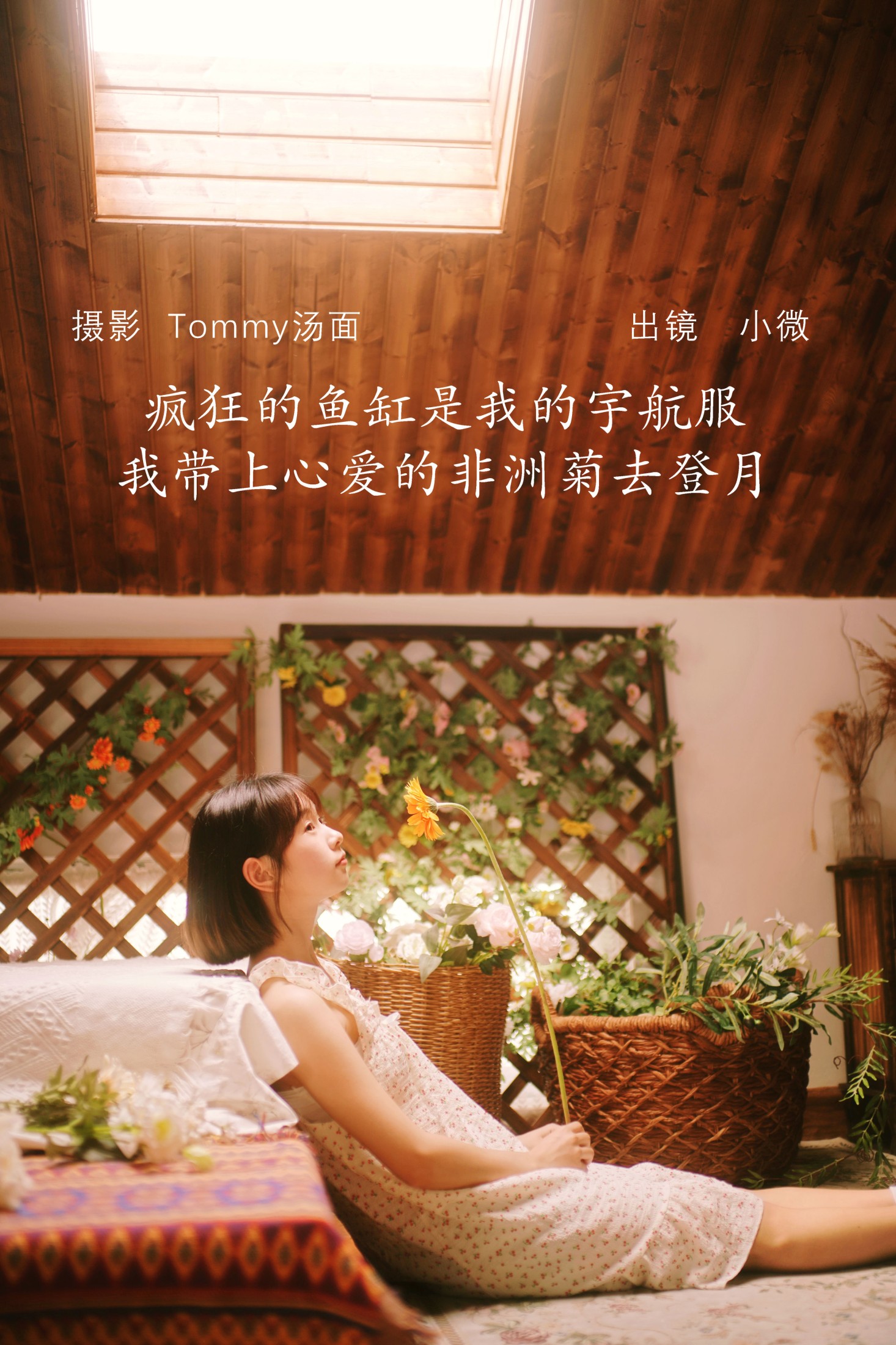 图片[1] - 小微 - 《疯狂的鱼缸是我的宇航服，我带上心爱的非洲菊去登月》[29P] - 机器猫次元 - 机器猫次元