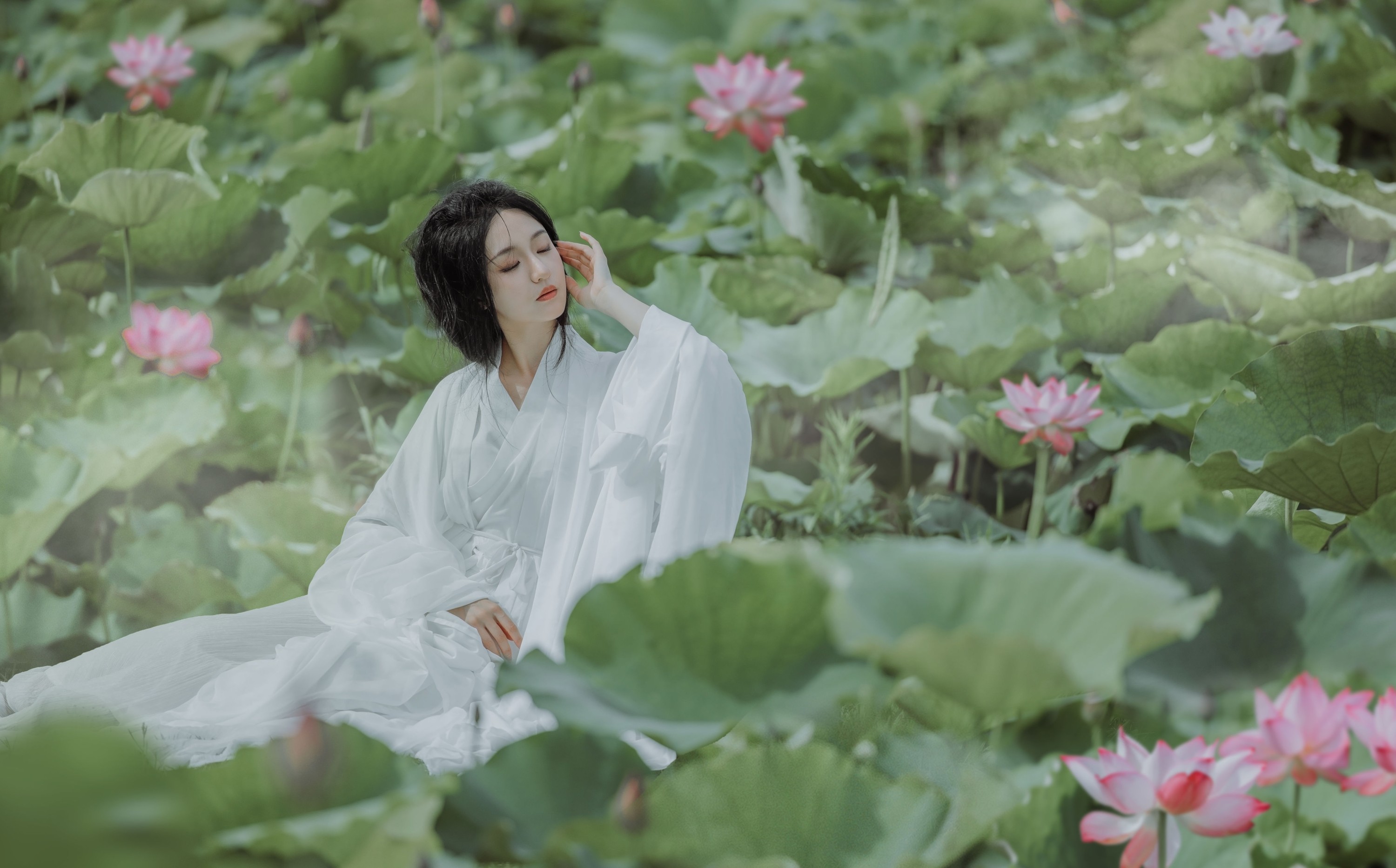 图片[3] - 柒苡安 - 《荷花》[23P] - 机器猫次元 - 机器猫次元