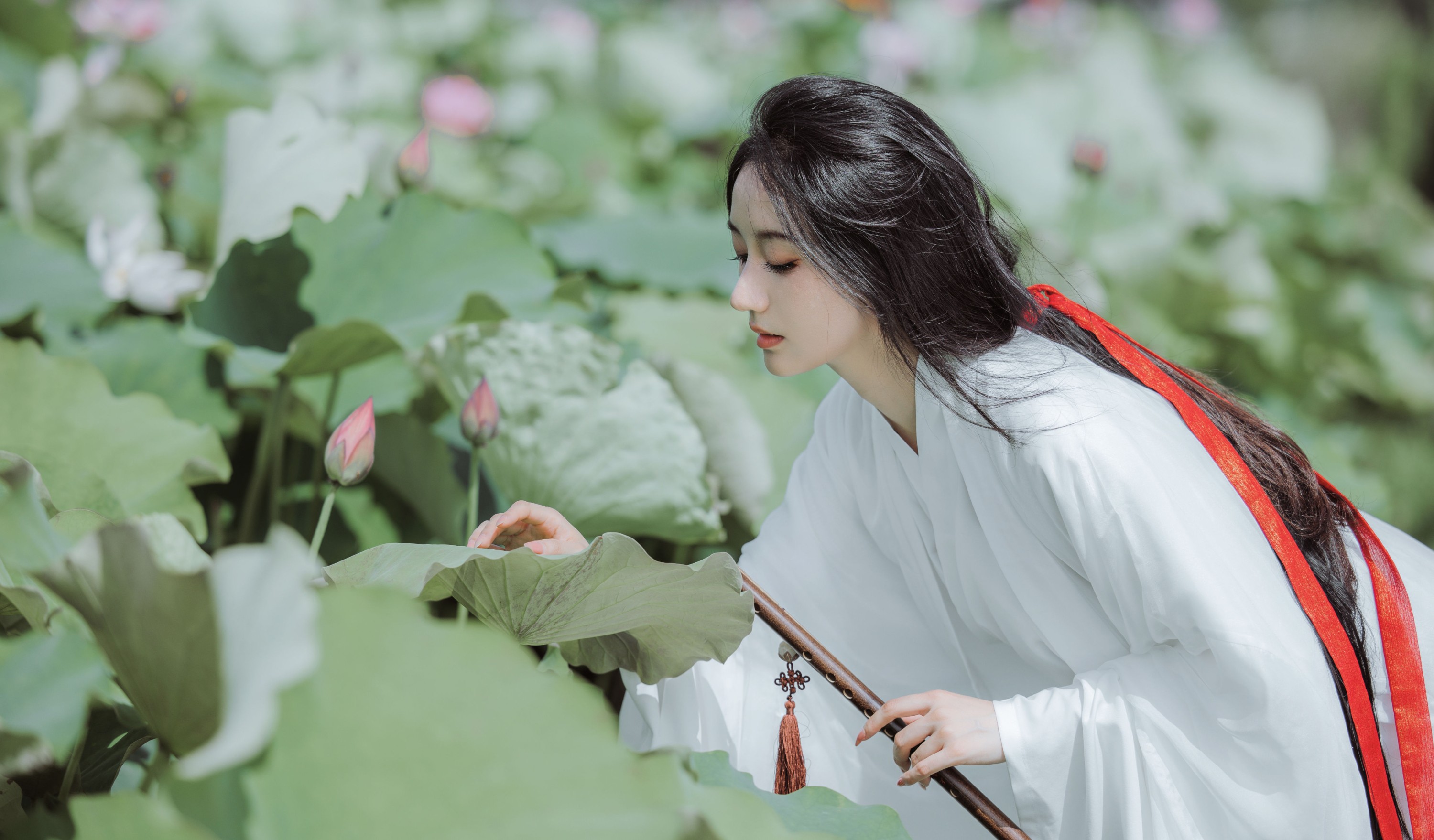 图片[5] - 柒苡安 - 《荷花》[23P] - 机器猫次元 - 机器猫次元
