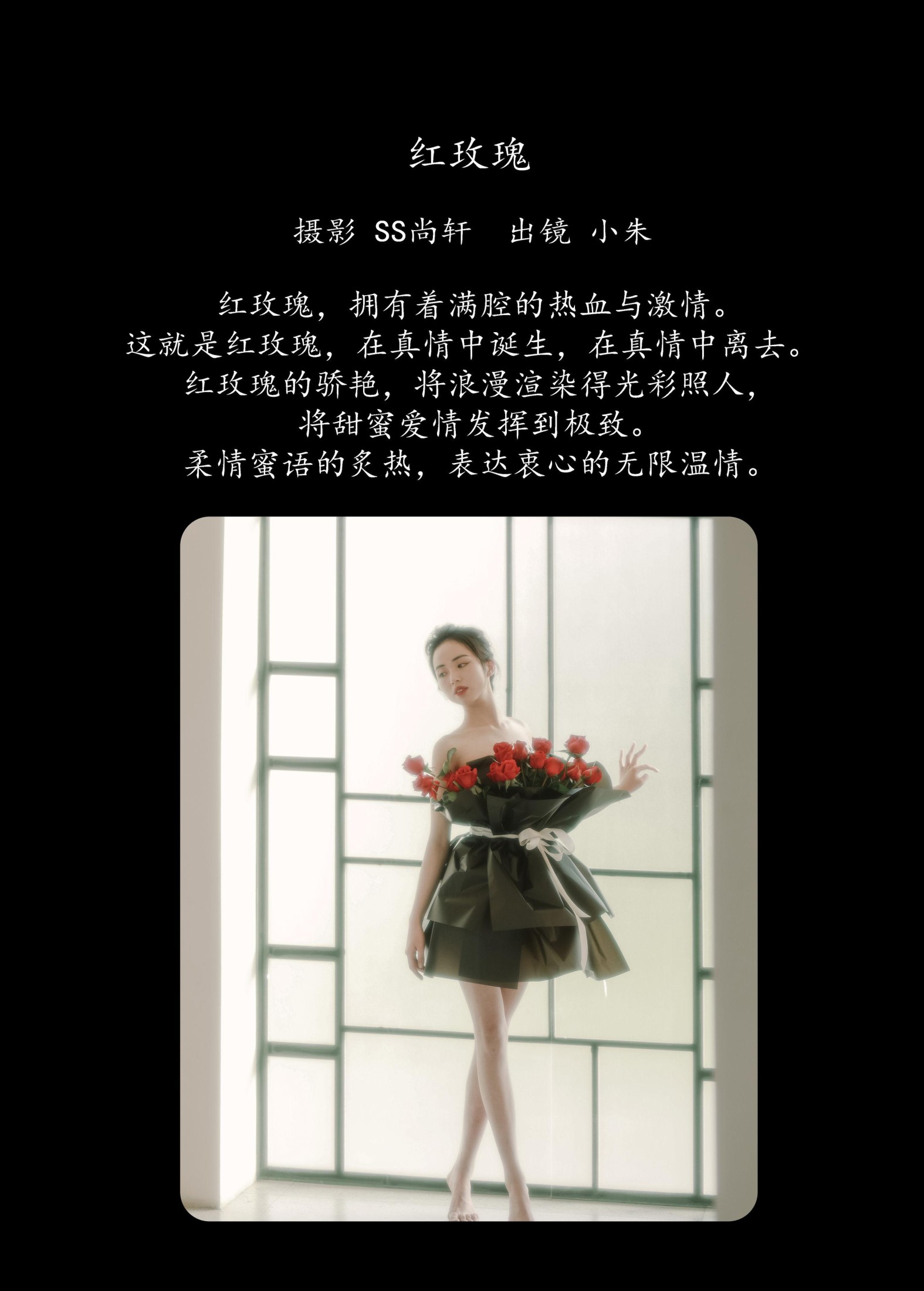 图片[2] - 卖恐龙的小红薯 - 《红玫瑰》[34P] - 机器猫次元 - 机器猫次元