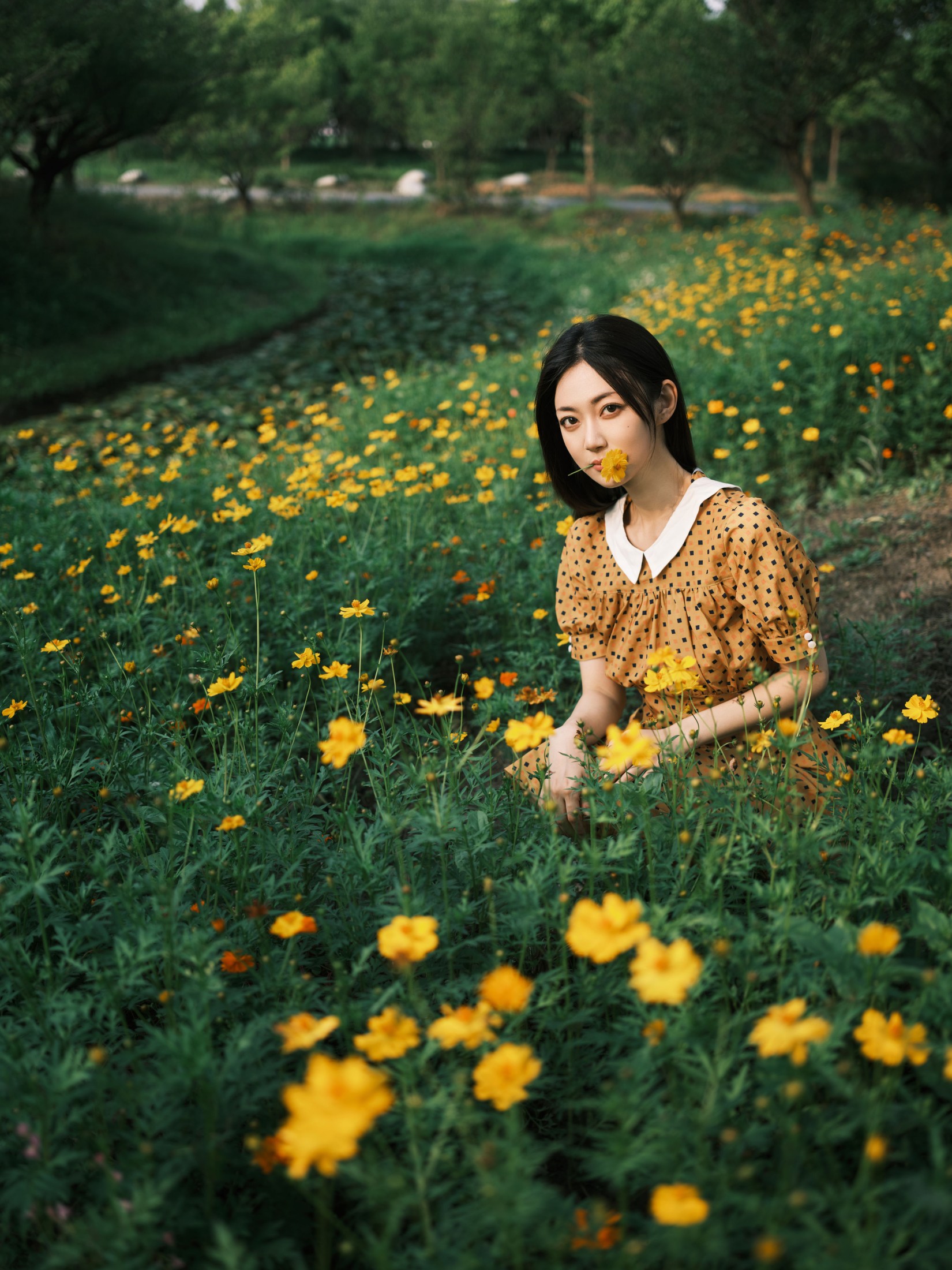 图片[5] - 飞鸟咕咕- 《硫华菊&柳叶马鞭草-是夏天的味道呀！》[44P] - 机器猫次元 - 机器猫次元