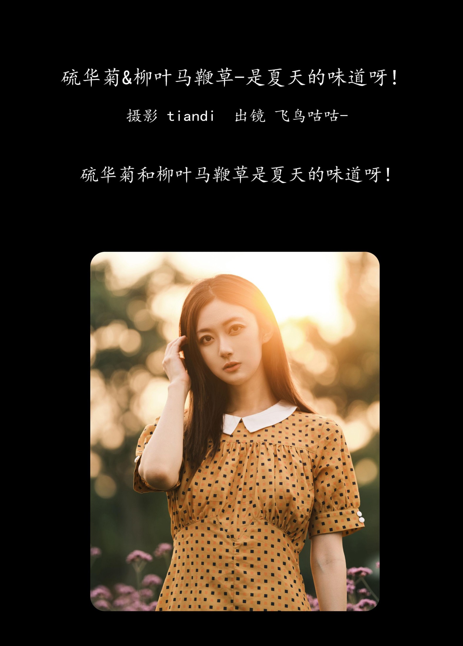 图片[2] - 飞鸟咕咕- 《硫华菊&柳叶马鞭草-是夏天的味道呀！》[44P] - 机器猫次元 - 机器猫次元