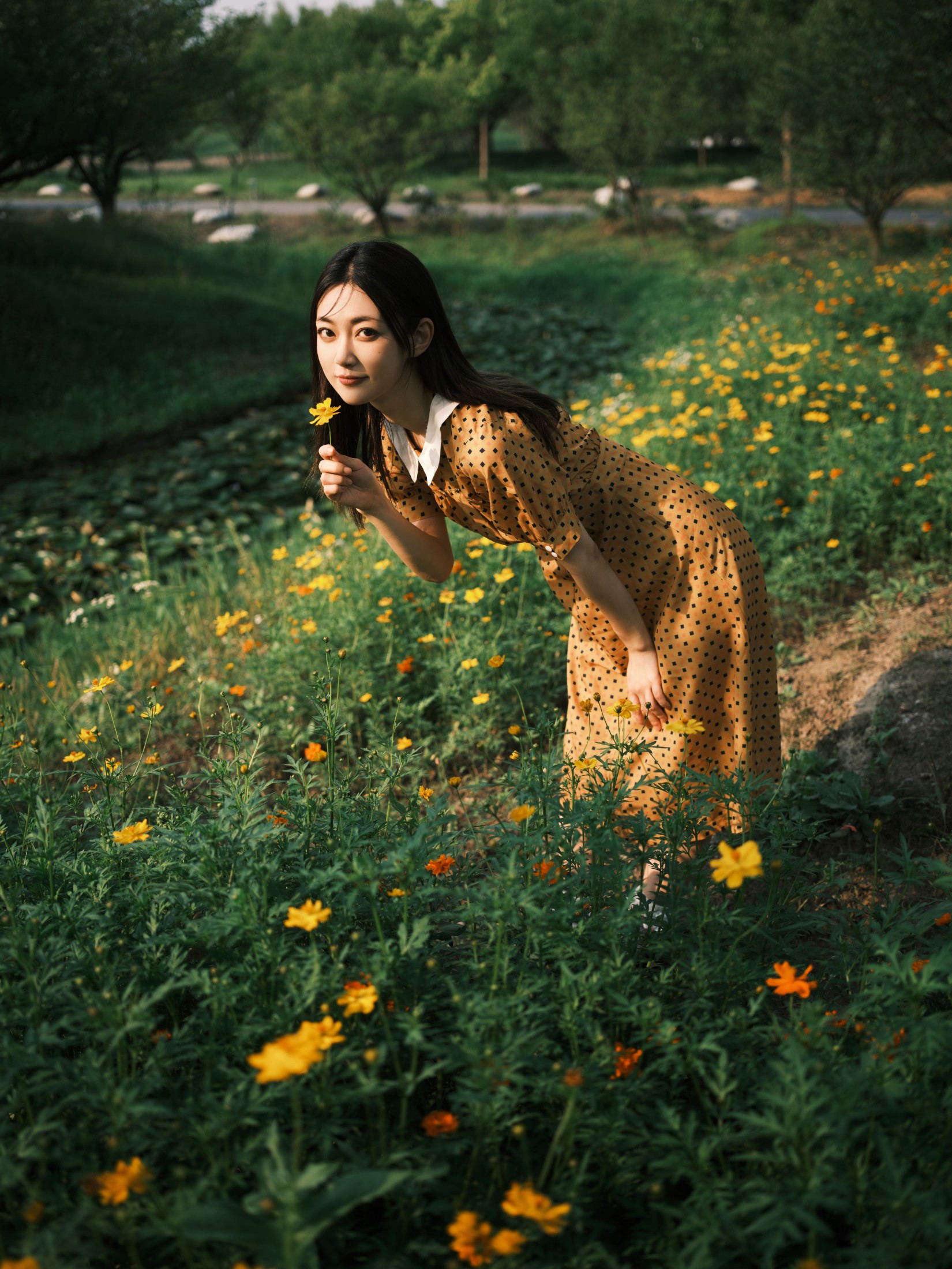 图片[3] - 飞鸟咕咕- 《硫华菊&柳叶马鞭草-是夏天的味道呀！》[44P] - 机器猫次元 - 机器猫次元