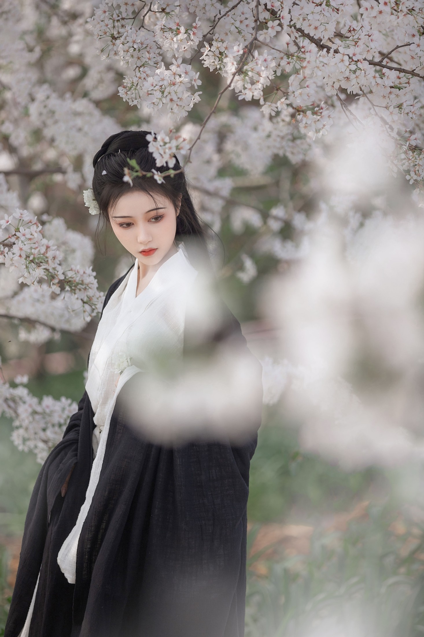 图片[5] - 梨一依 - 《白樱》[25P] - 机器猫次元 - 机器猫次元