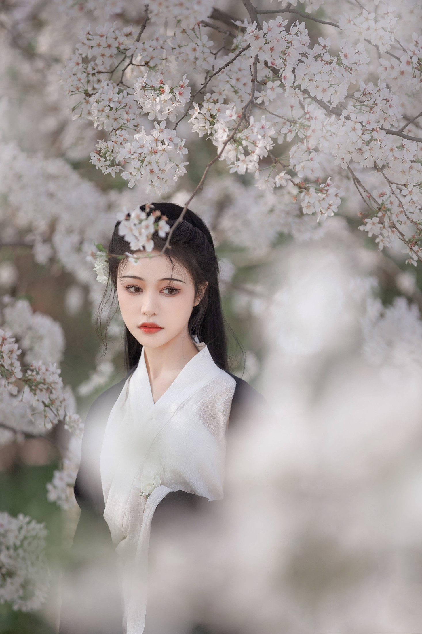 图片[6] - 梨一依 - 《白樱》[25P] - 机器猫次元 - 机器猫次元