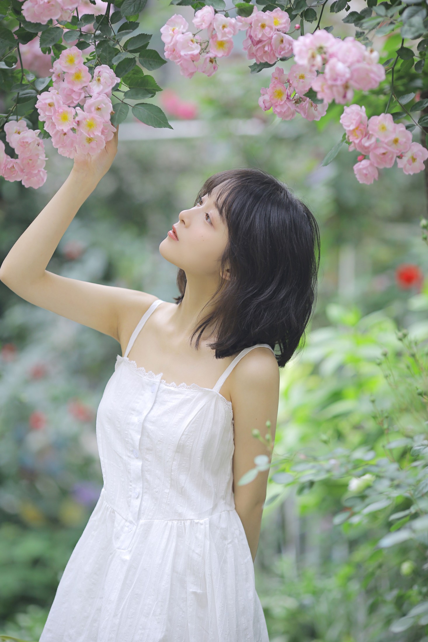 图片[3] - 甜酒八號 - 《花期已致 美好如初》[30P] - 机器猫次元 - 机器猫次元