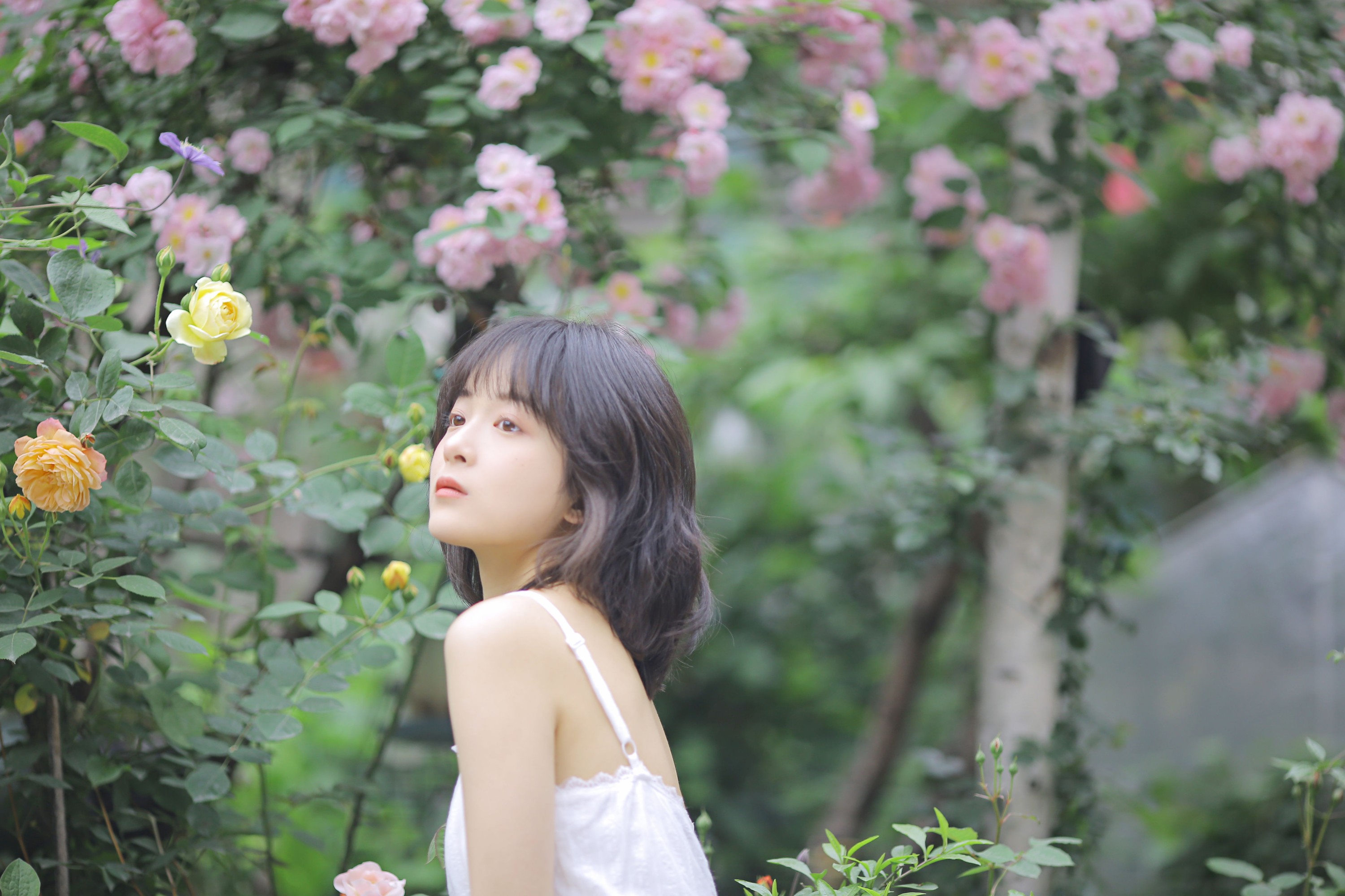 图片[6] - 甜酒八號 - 《花期已致 美好如初》[30P] - 机器猫次元 - 机器猫次元