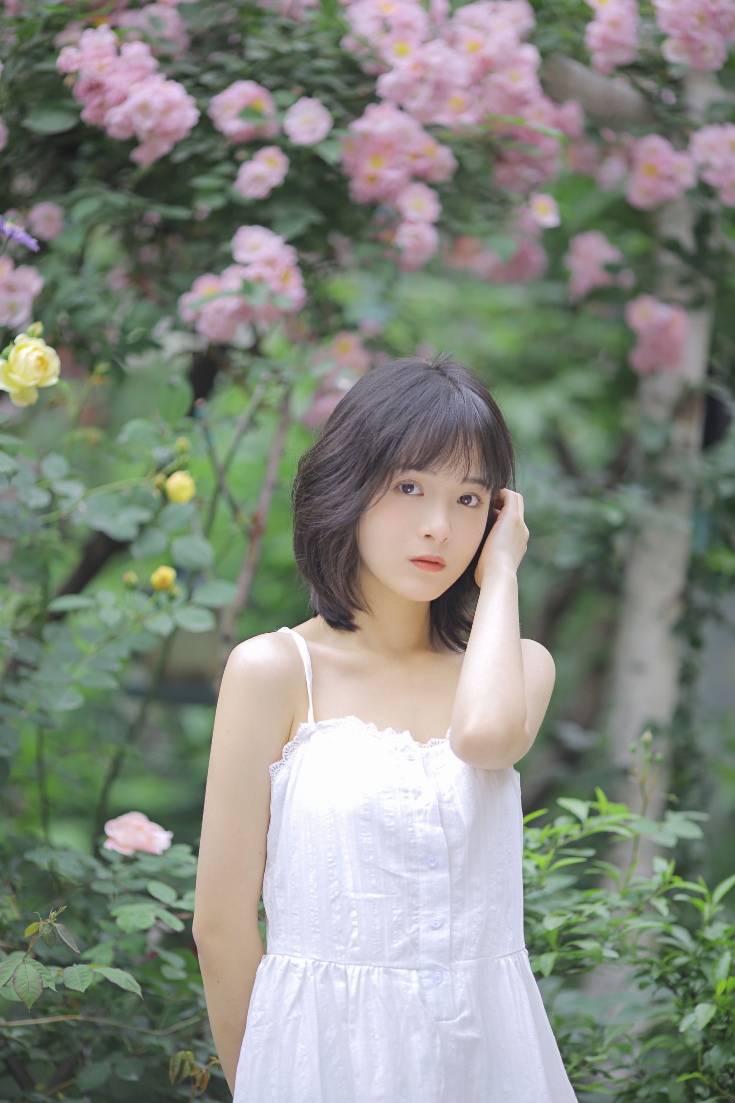 图片[5] - 甜酒八號 - 《花期已致 美好如初》[30P] - 机器猫次元 - 机器猫次元