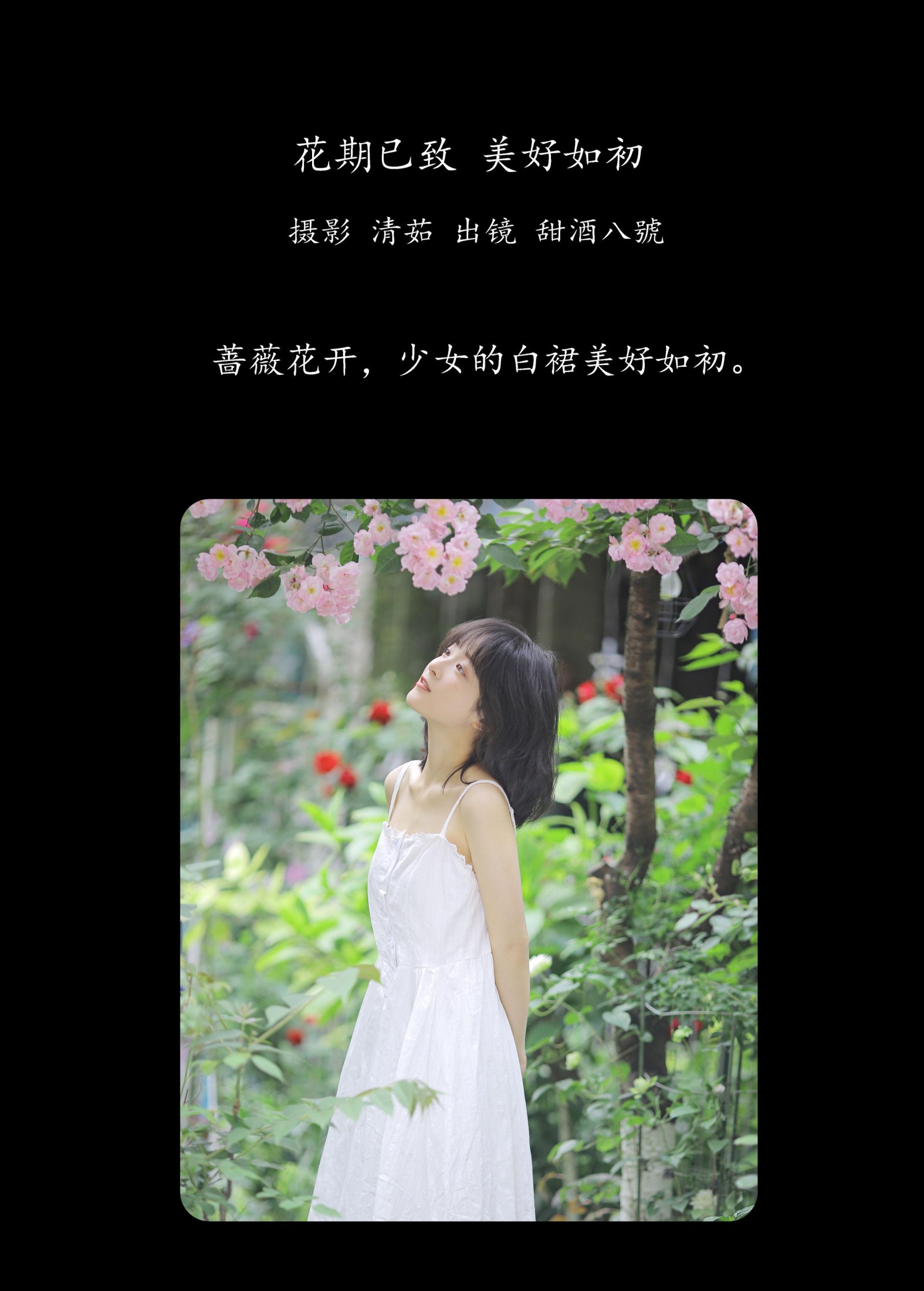 图片[2] - 甜酒八號 - 《花期已致 美好如初》[30P] - 机器猫次元 - 机器猫次元