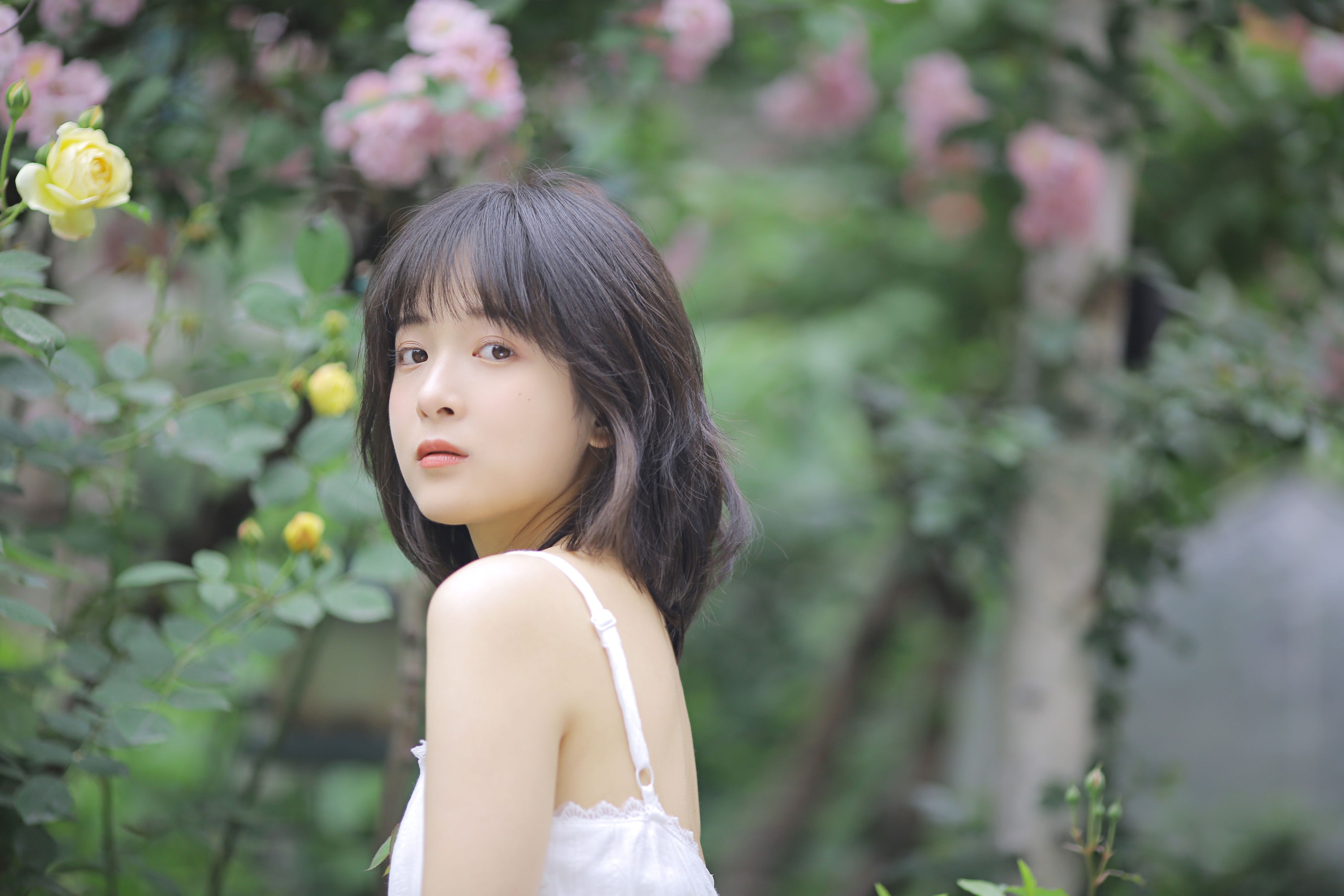 图片[7] - 甜酒八號 - 《花期已致 美好如初》[30P] - 机器猫次元 - 机器猫次元