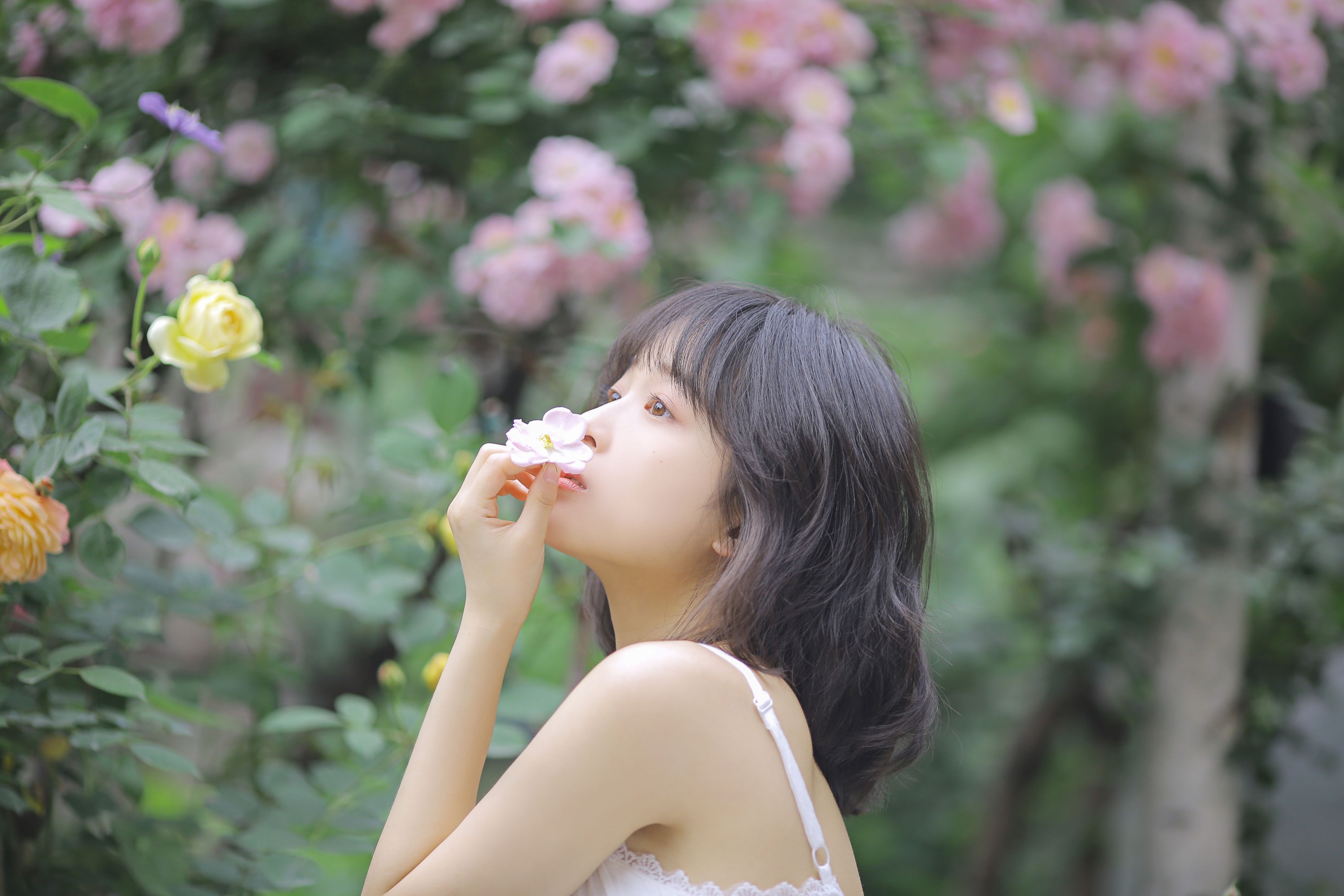 图片[8] - 甜酒八號 - 《花期已致 美好如初》[30P] - 机器猫次元 - 机器猫次元