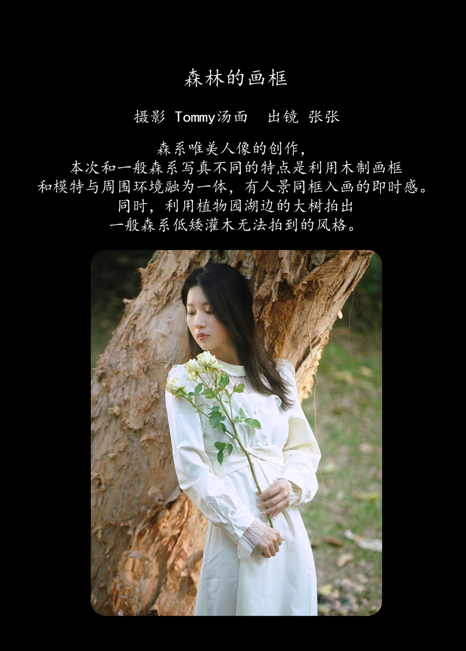 图片[2] - 张张 - 《森林的画框》[29P] - 机器猫次元 - 机器猫次元