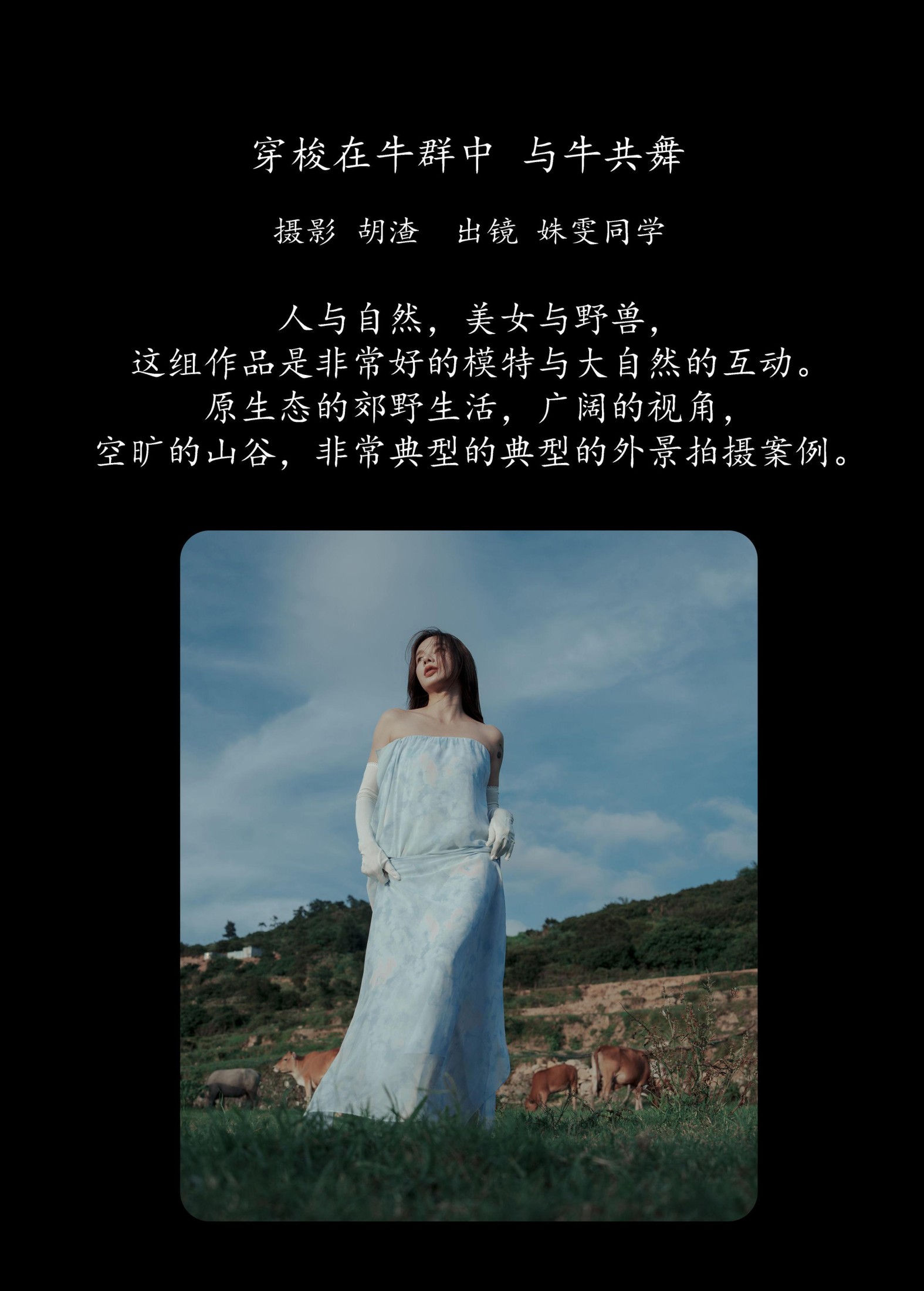 图片[2] - 姝雯同学 - 《穿梭在牛群中，与牛共舞》[43P] - 机器猫次元 - 机器猫次元