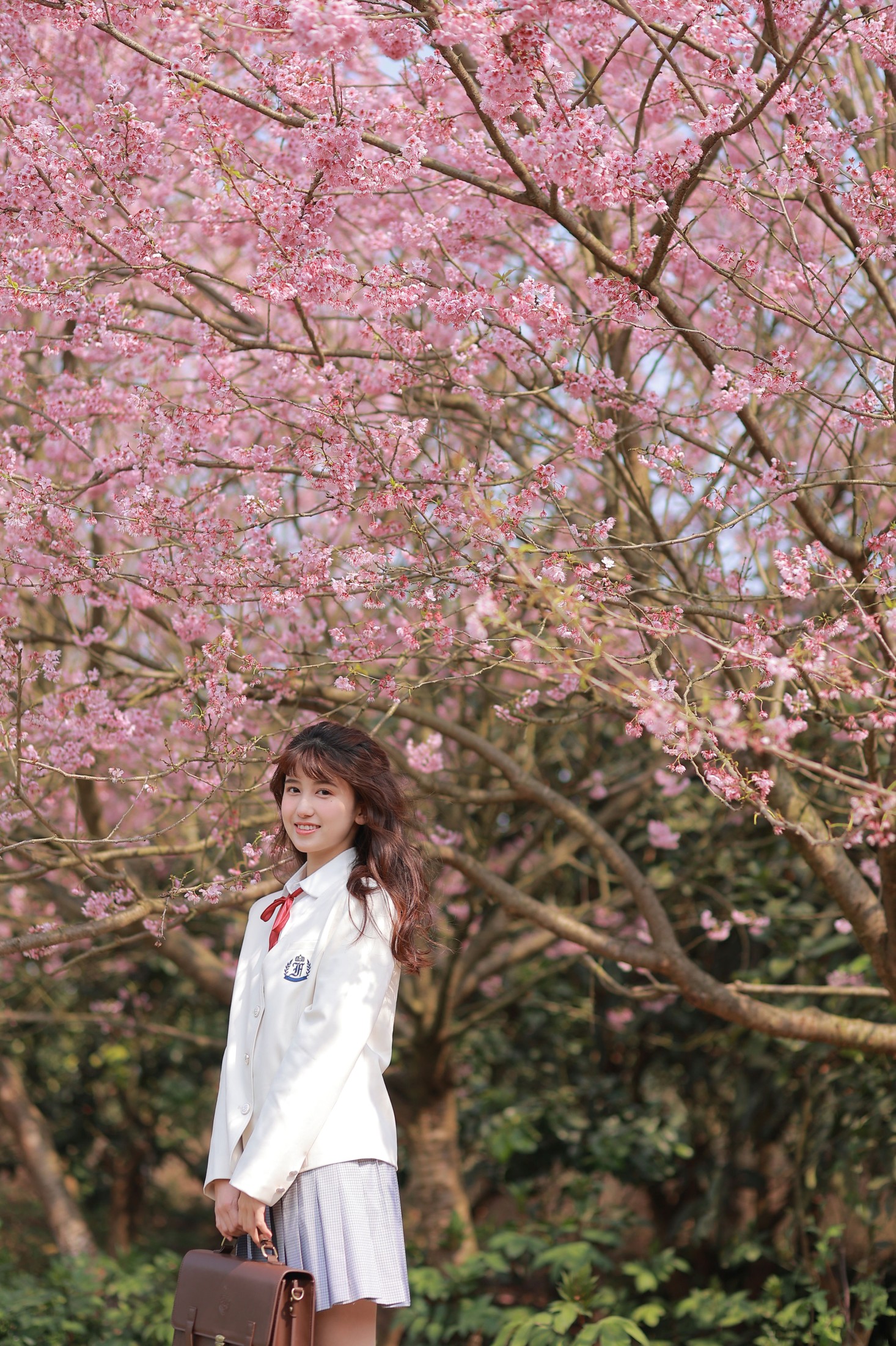 图片[6] - lovelatte11 - 《樱花》[22P] - 机器猫次元 - 机器猫次元