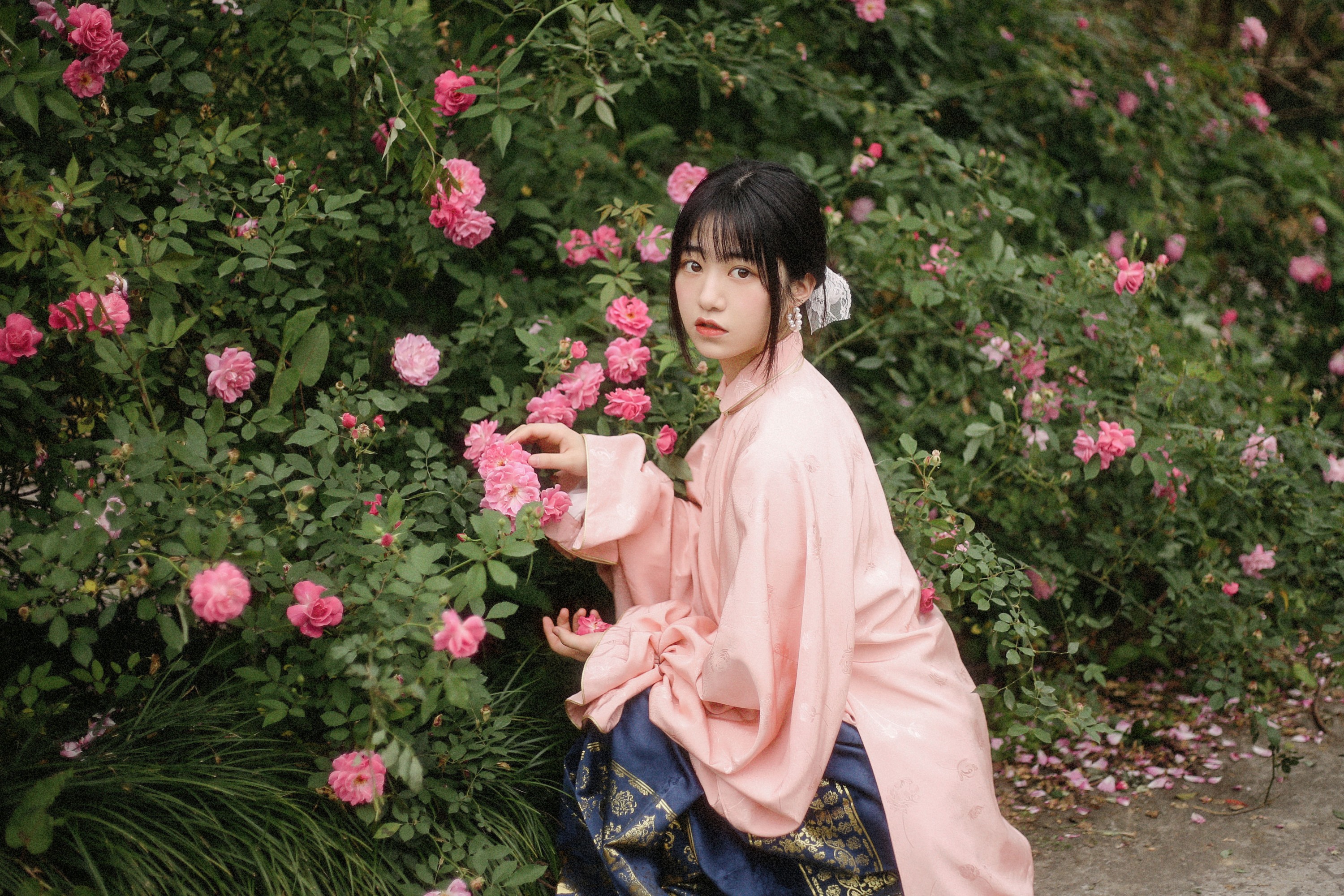 图片[4] - panniling - 《蔷薇花开》[30P] - 机器猫次元 - 机器猫次元