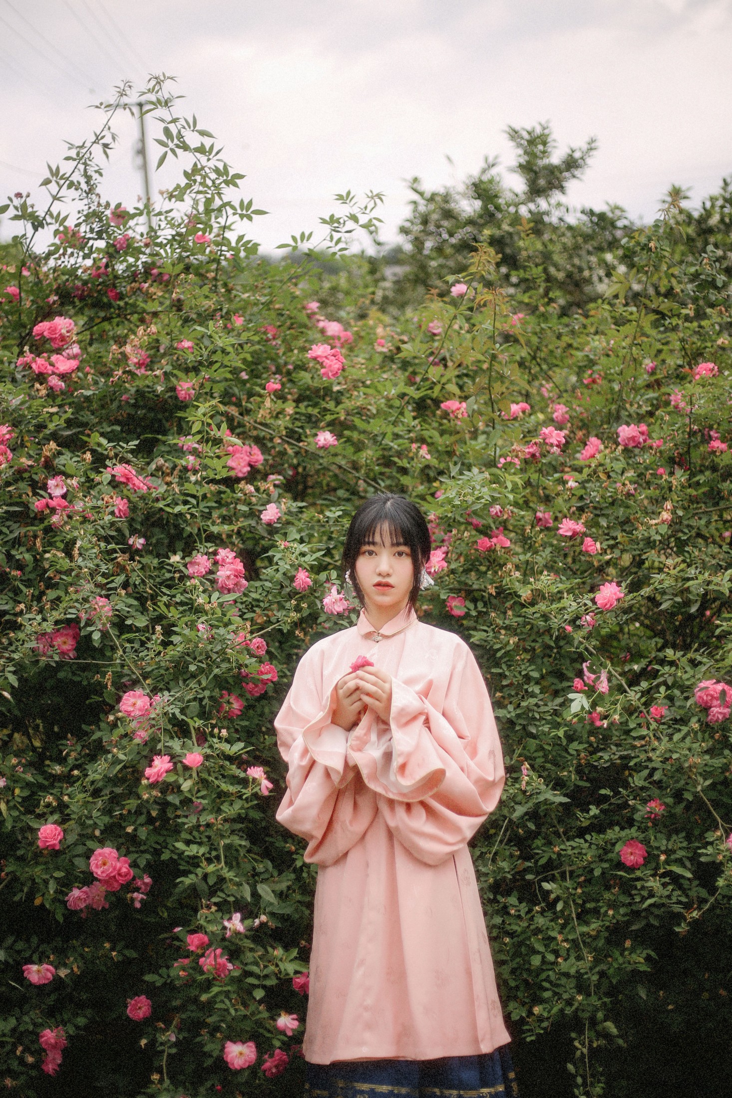 图片[5] - panniling - 《蔷薇花开》[30P] - 机器猫次元 - 机器猫次元