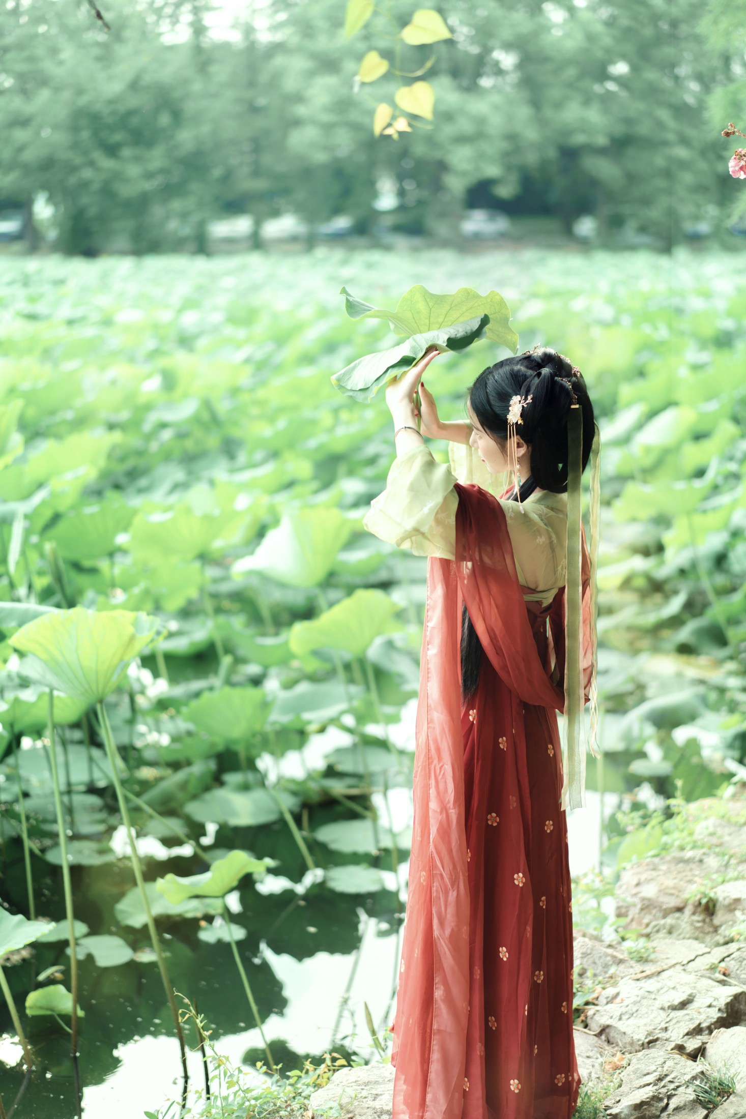 图片[5] - 仓央是大魔王 - 《夏荷》[21P] - 机器猫次元 - 机器猫次元