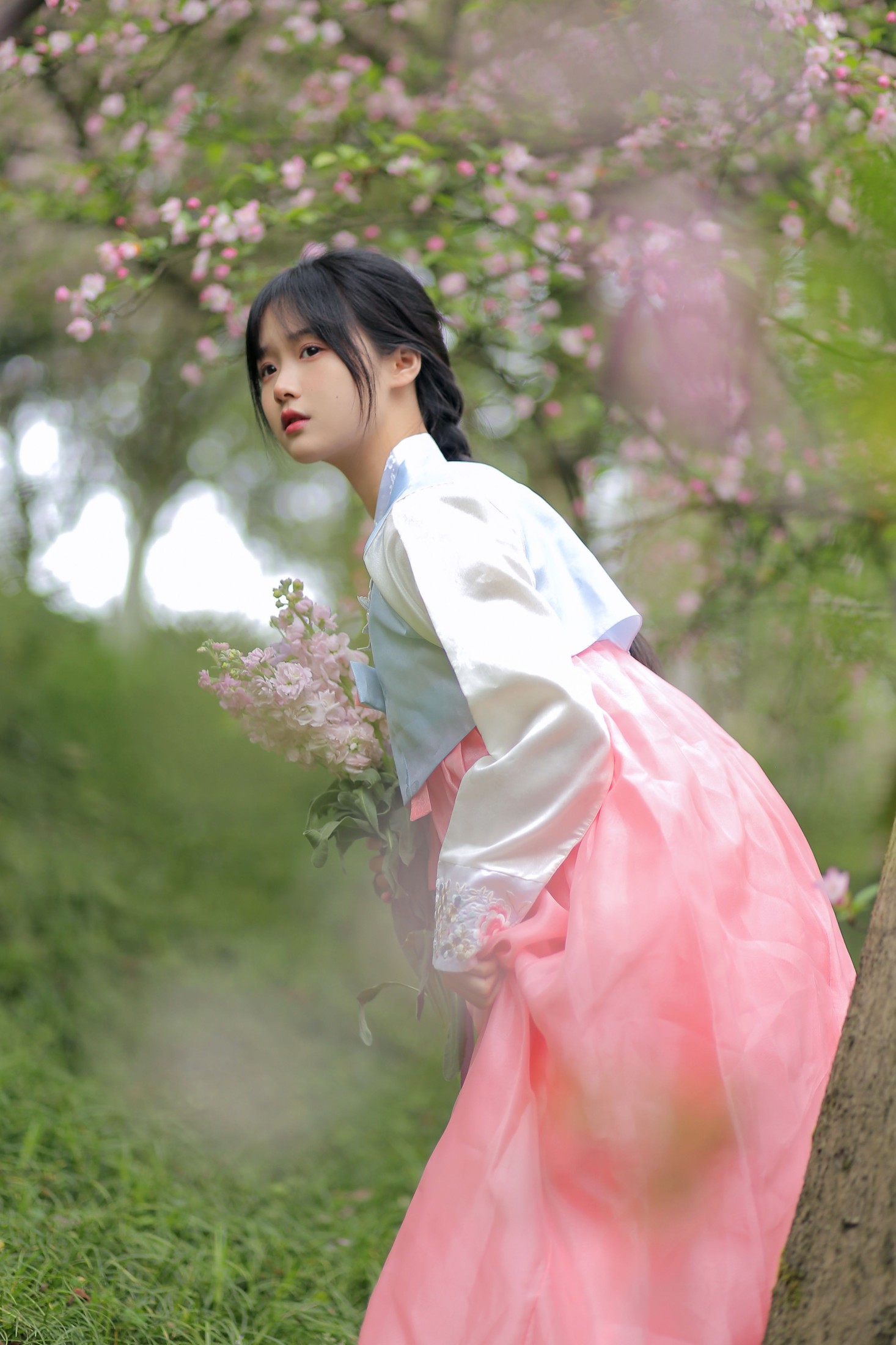 图片[4] - 至春禾 - 《春日海棠》[34P] - 机器猫次元 - 机器猫次元
