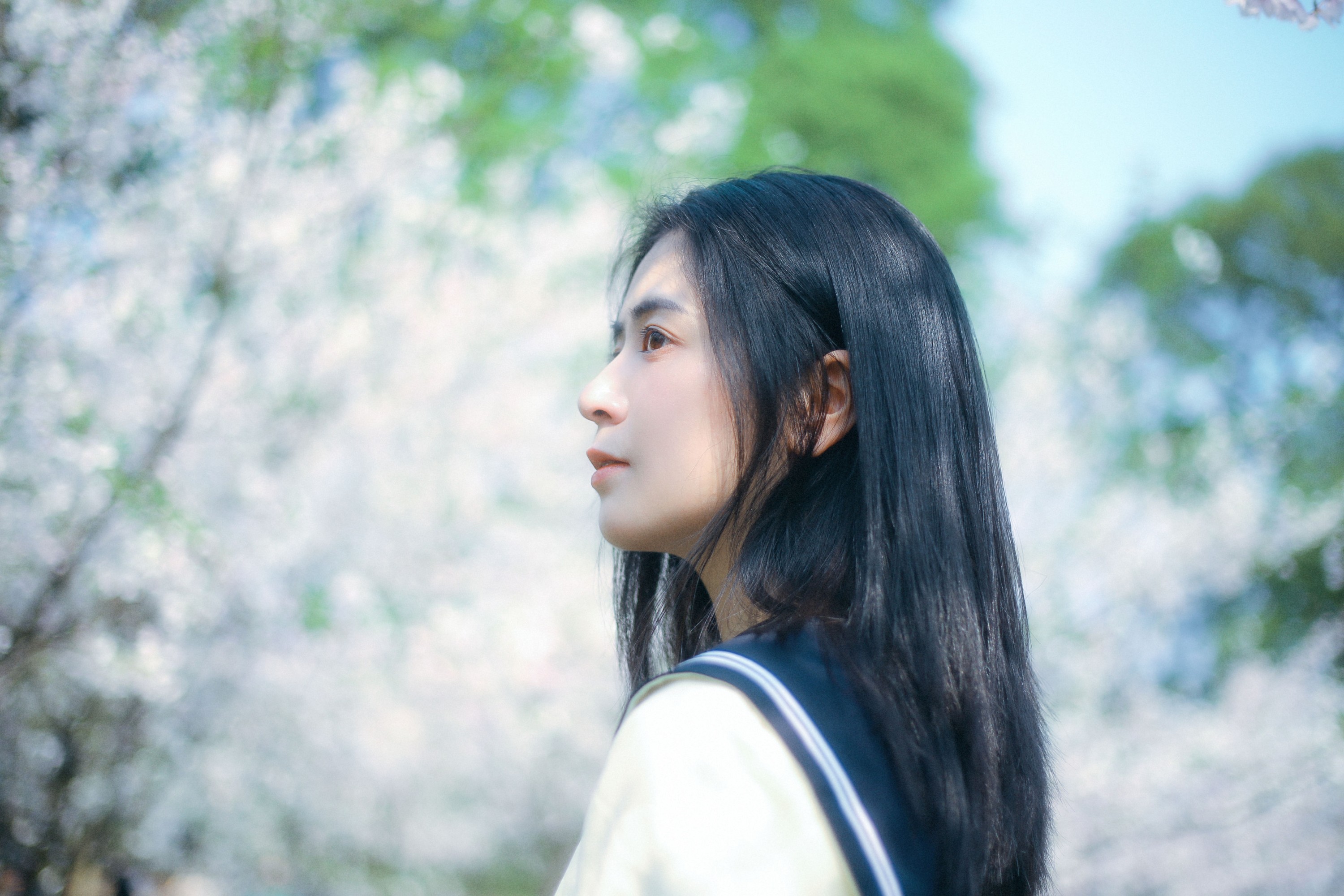 图片[5] - 瞳人儿 - 《春日早樱》[22P] - 机器猫次元 - 机器猫次元