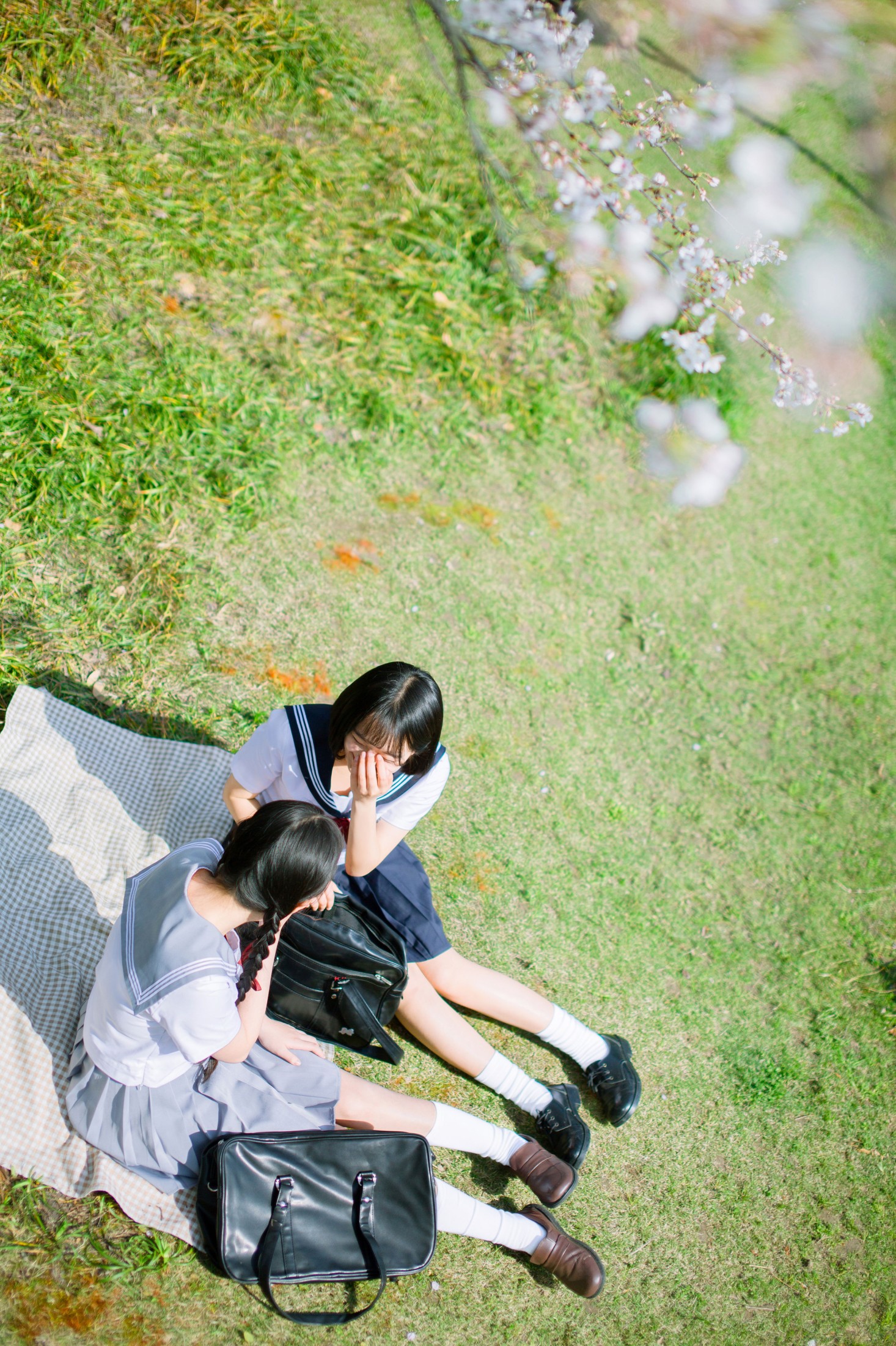 图片[7] - caoie- 聪儿ii - 《樱花少女》[32P] - 机器猫次元 - 机器猫次元