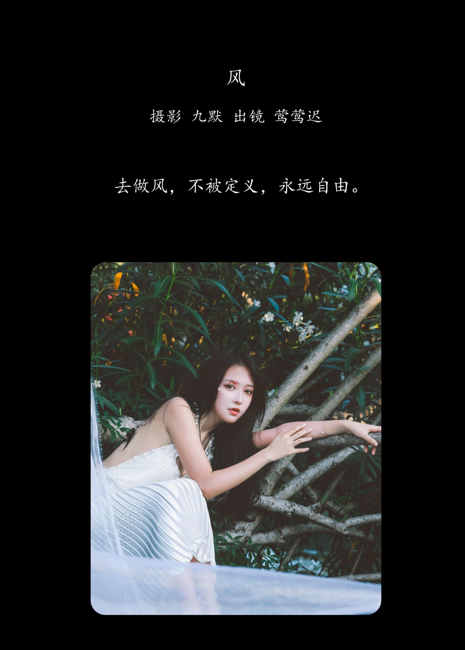 图片[2] - 莺莺迟 - 《风》[23P] - 机器猫次元 - 机器猫次元