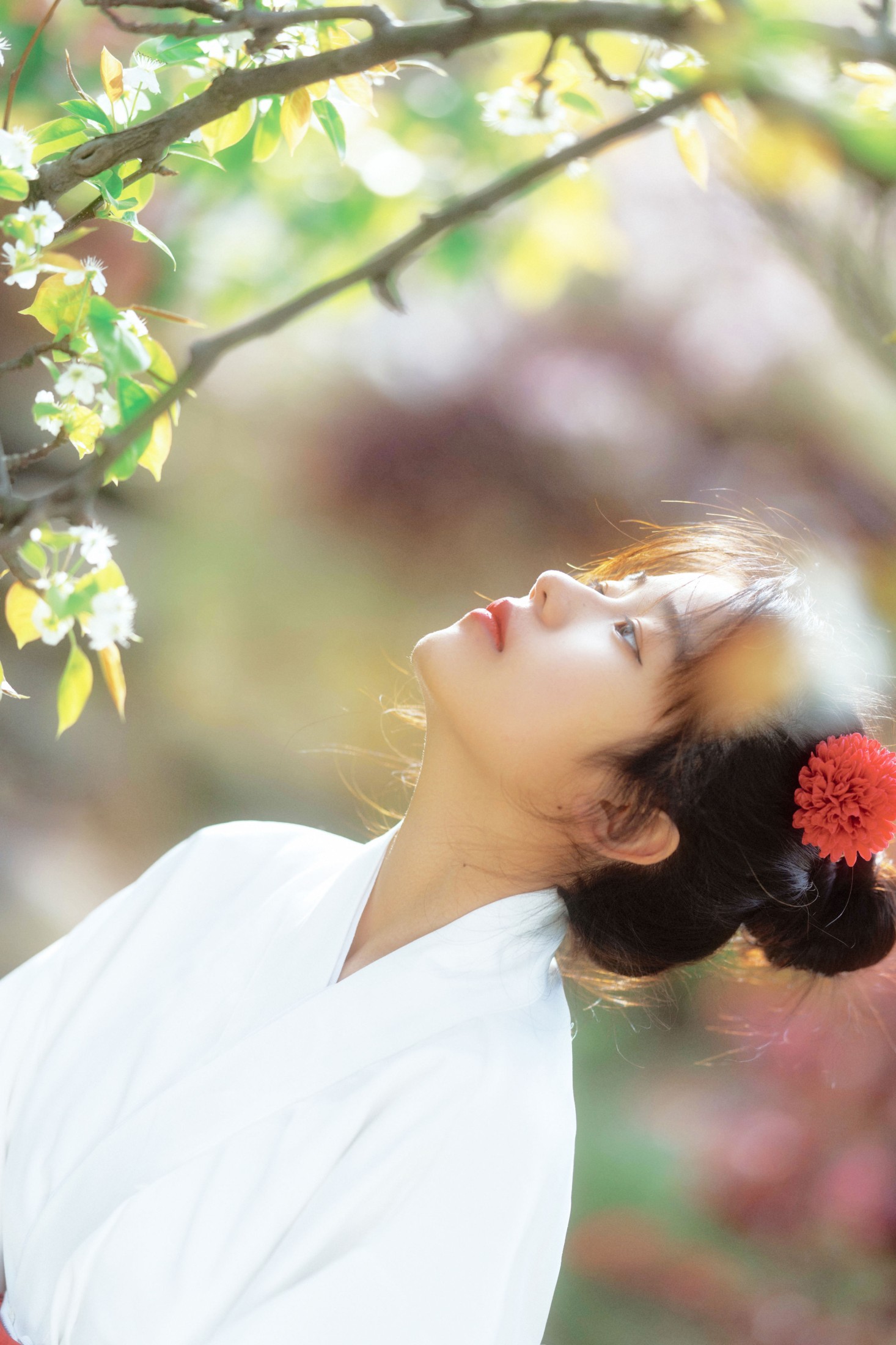 图片[5] - zzz - 《春日花》[24P] - 机器猫次元 - 机器猫次元